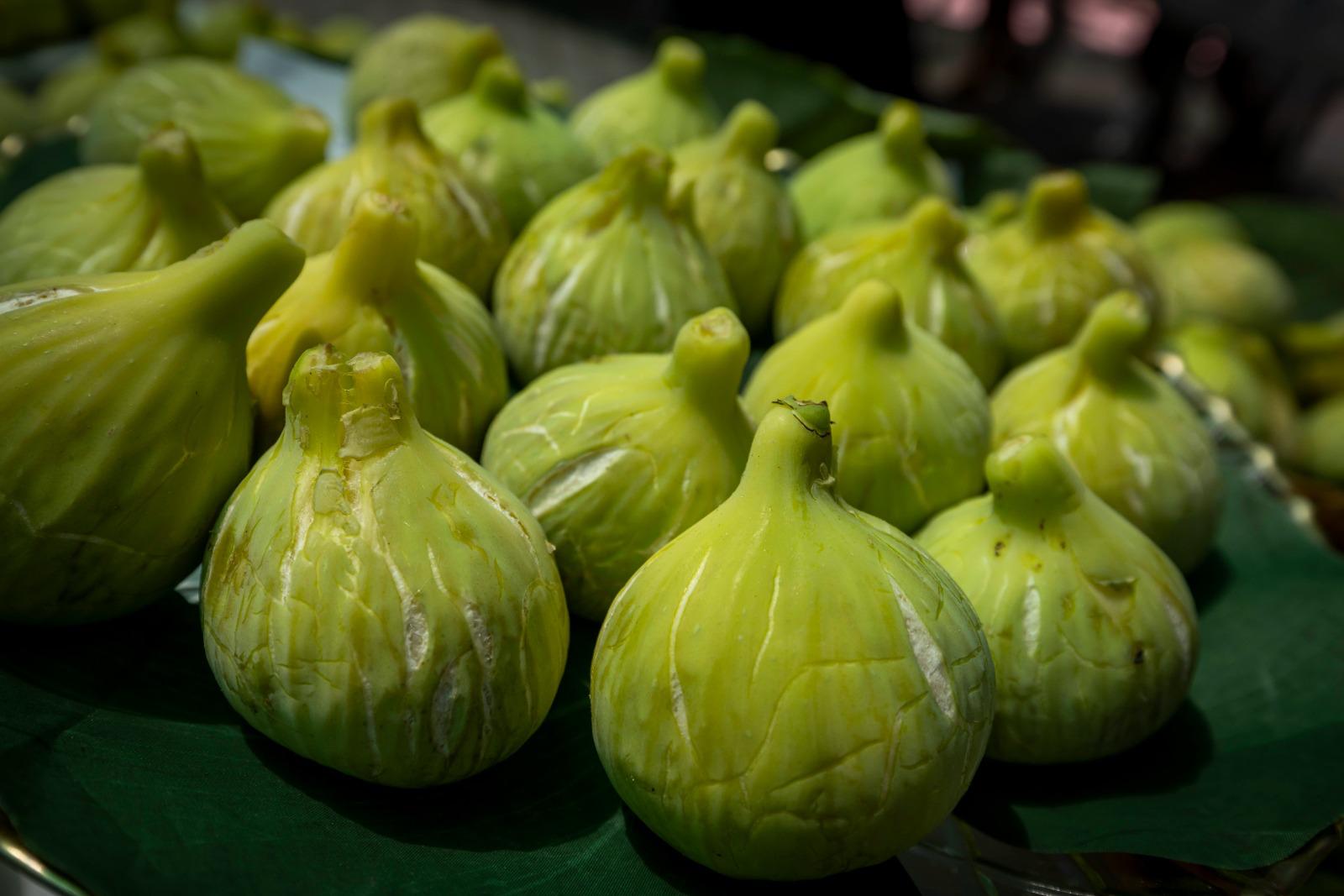 İzmir Büyükşehir’den Üreticiye Kerevet Desteği (2)