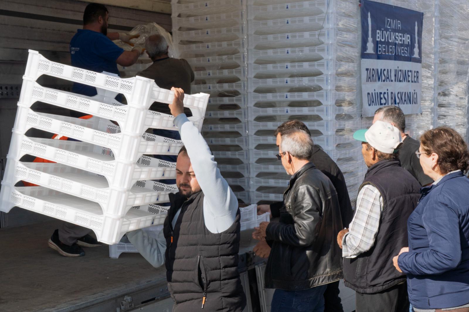 İzmir Büyükşehir’den Üreticiye Kerevet Desteği (7)