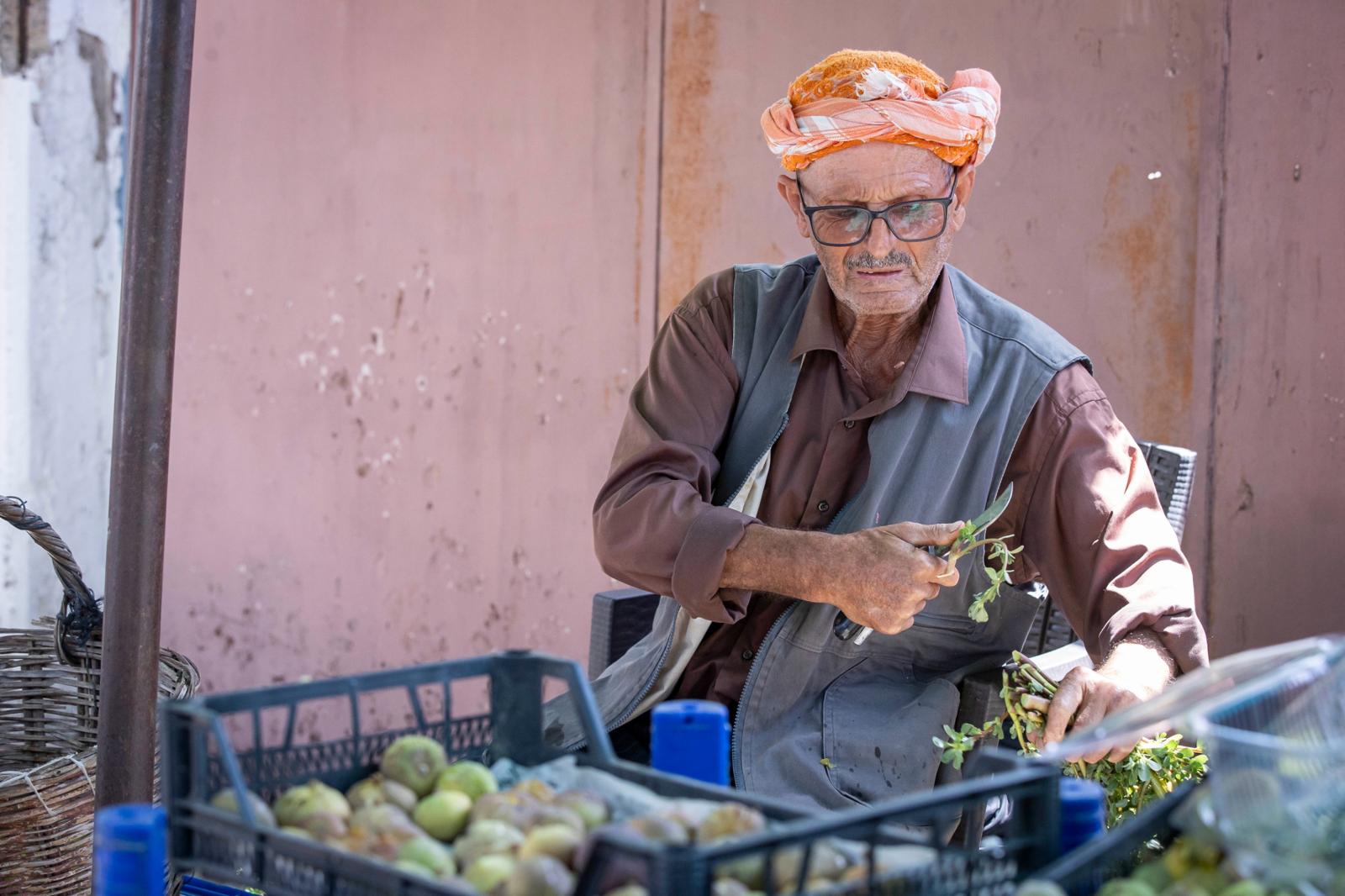 İzmir Büyükşehir’den Üreticiye Kerevet Desteği (8)