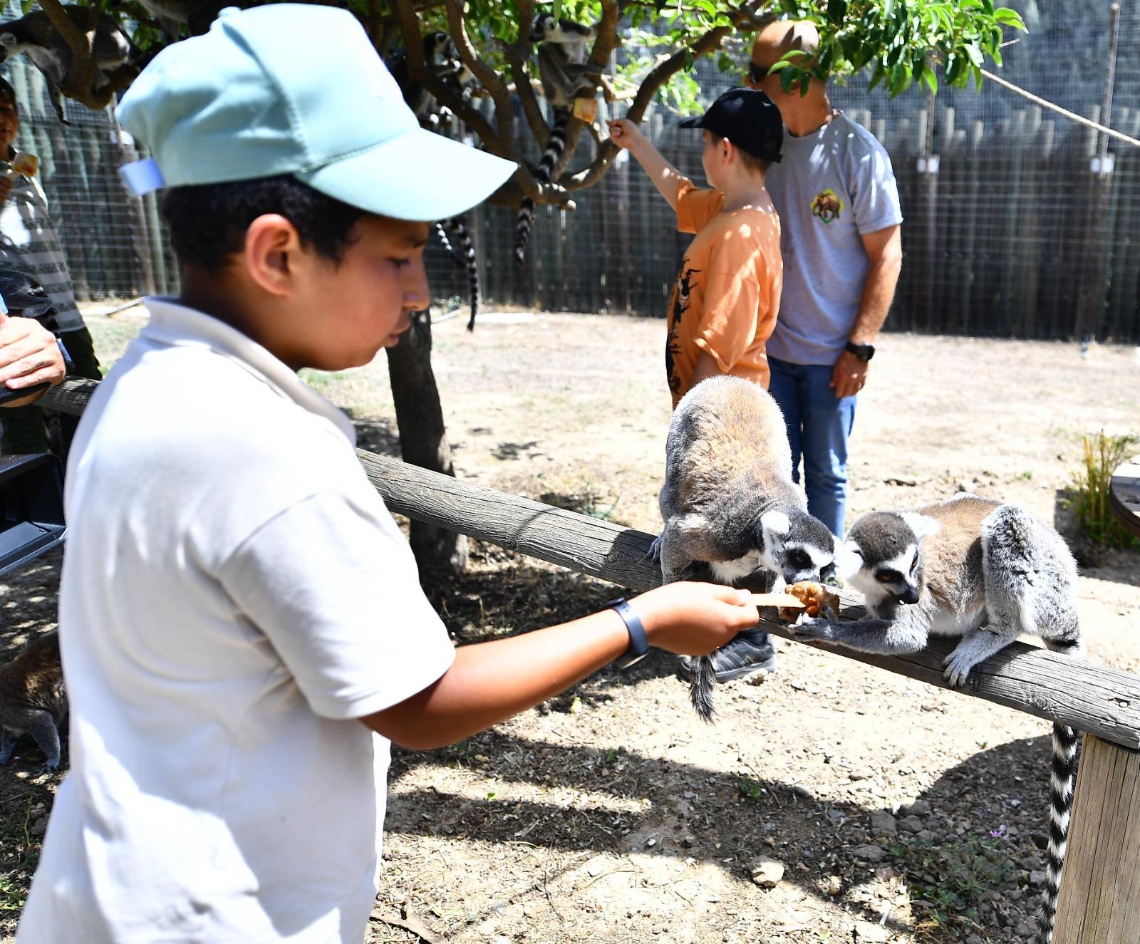 İzmir Doğal Yaşam Parkı Ara Tatilde Dolup Taştı (3)