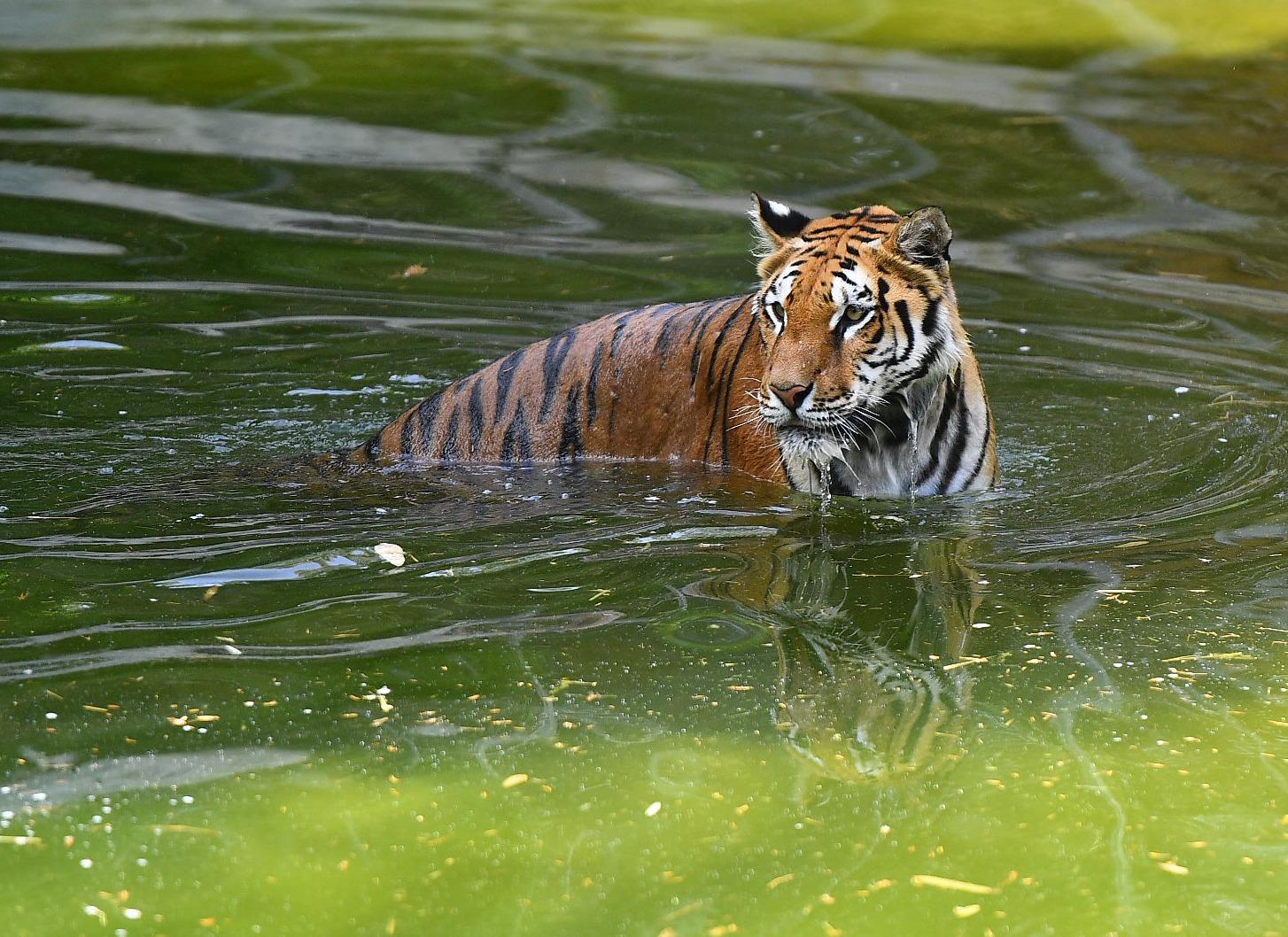 İzmir Doğal Yaşam Parkı Ara Tatilde Dolup Taştı (4)