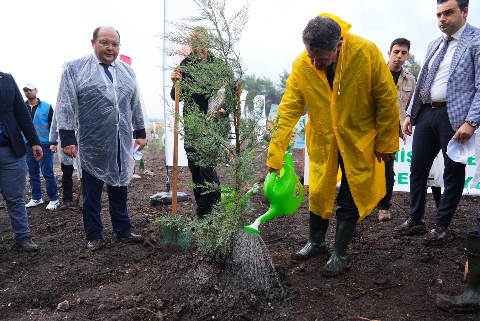 İzmir’de 11 Kasım’da 115 Bin Fidan Toprakla Buluştu (1)
