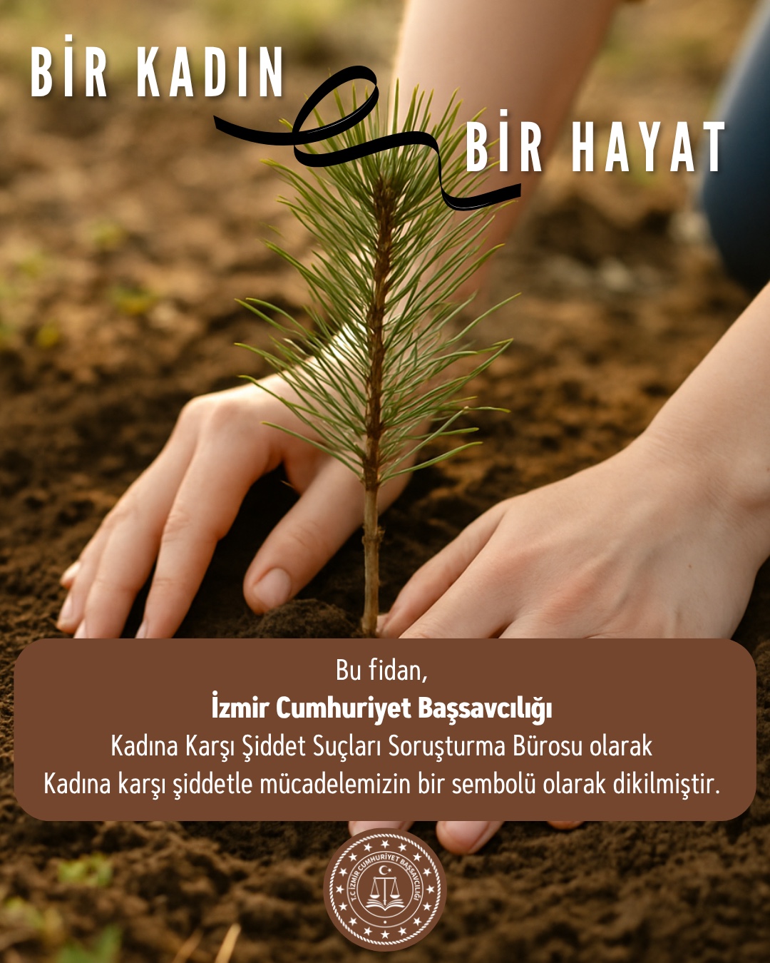 İzmir’de 11 Kasım’da 115 Bin Fidan Toprakla Buluştu (3)