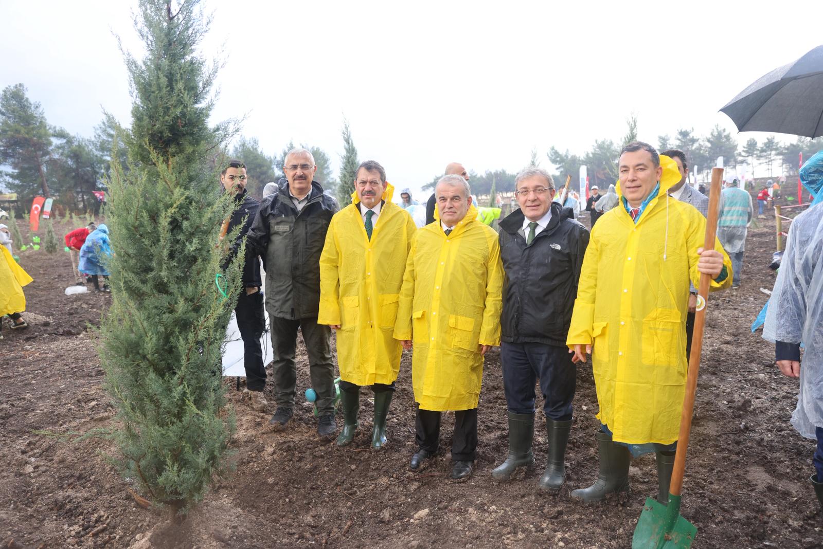 İzmir’de 11 Kasım’da 115 Bin Fidan Toprakla Buluştu (4)