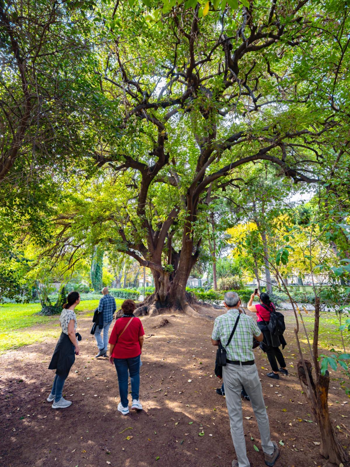 İzmir'de Doğa Ve Lezzet Tutkunları Bu Turları Çok Sevecek! (2)