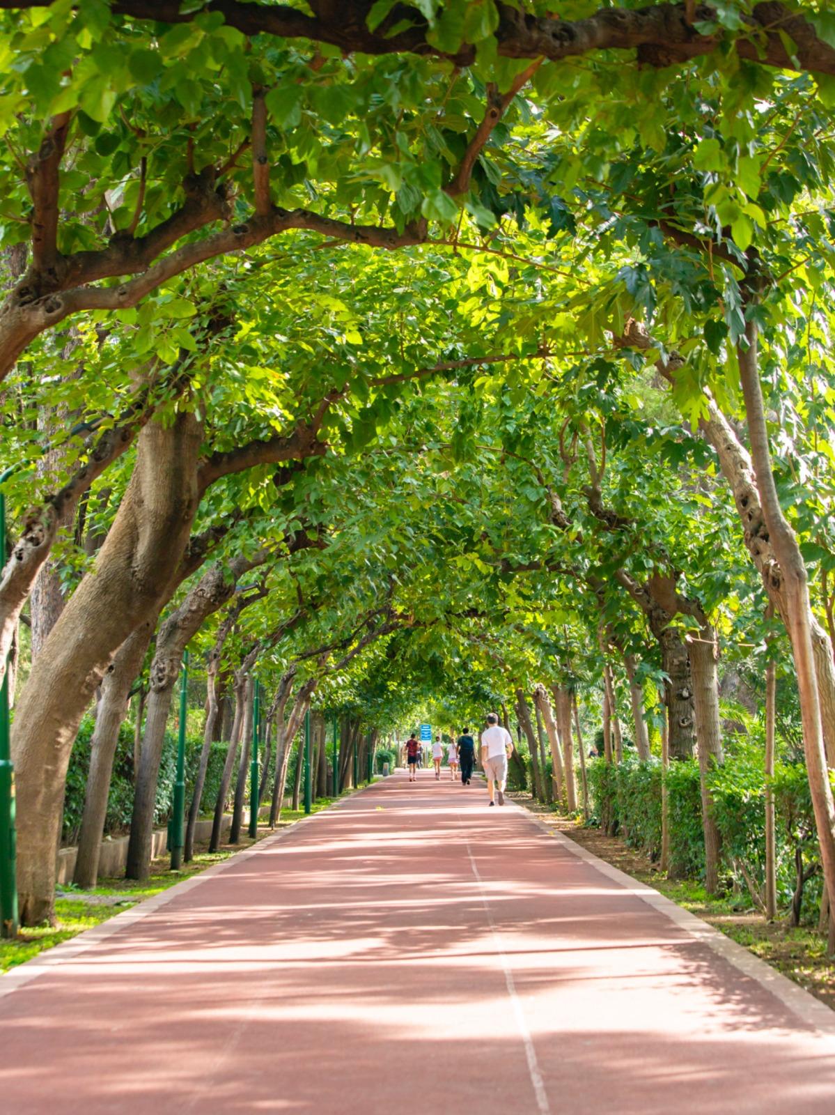 İzmir'de Doğa Ve Lezzet Tutkunları Bu Turları Çok Sevecek! (5)