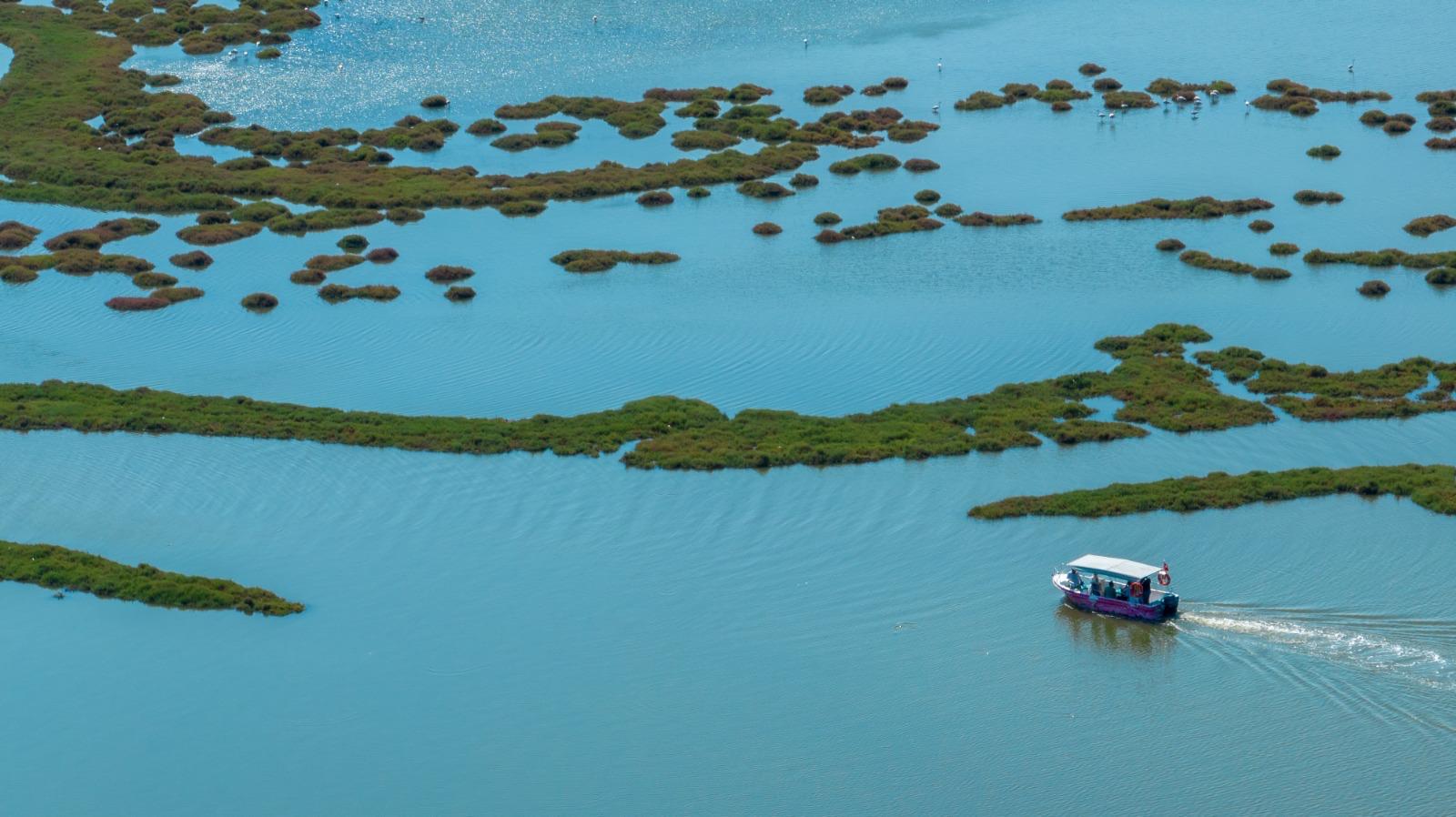 İzmir'de Doğa Ve Lezzet Tutkunları Bu Turları Çok Sevecek! (7)