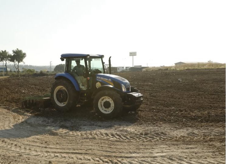 İzmir’de Yangın Alanı Yeniden Yeşerecek Fidanlar Toprakla Buluşuyor (1)
