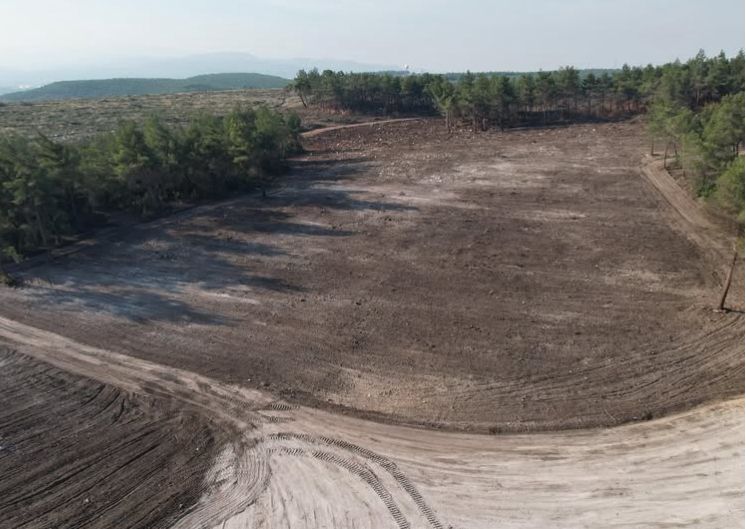 İzmir’de Yangın Alanı Yeniden Yeşerecek Fidanlar Toprakla Buluşuyor (3)
