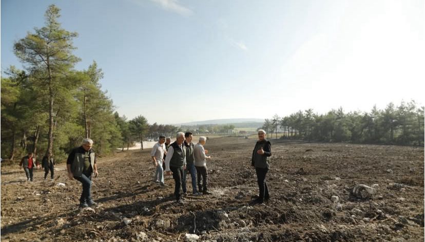 İzmir’de Yangın Alanı Yeniden Yeşerecek Fidanlar Toprakla Buluşuyor (4)