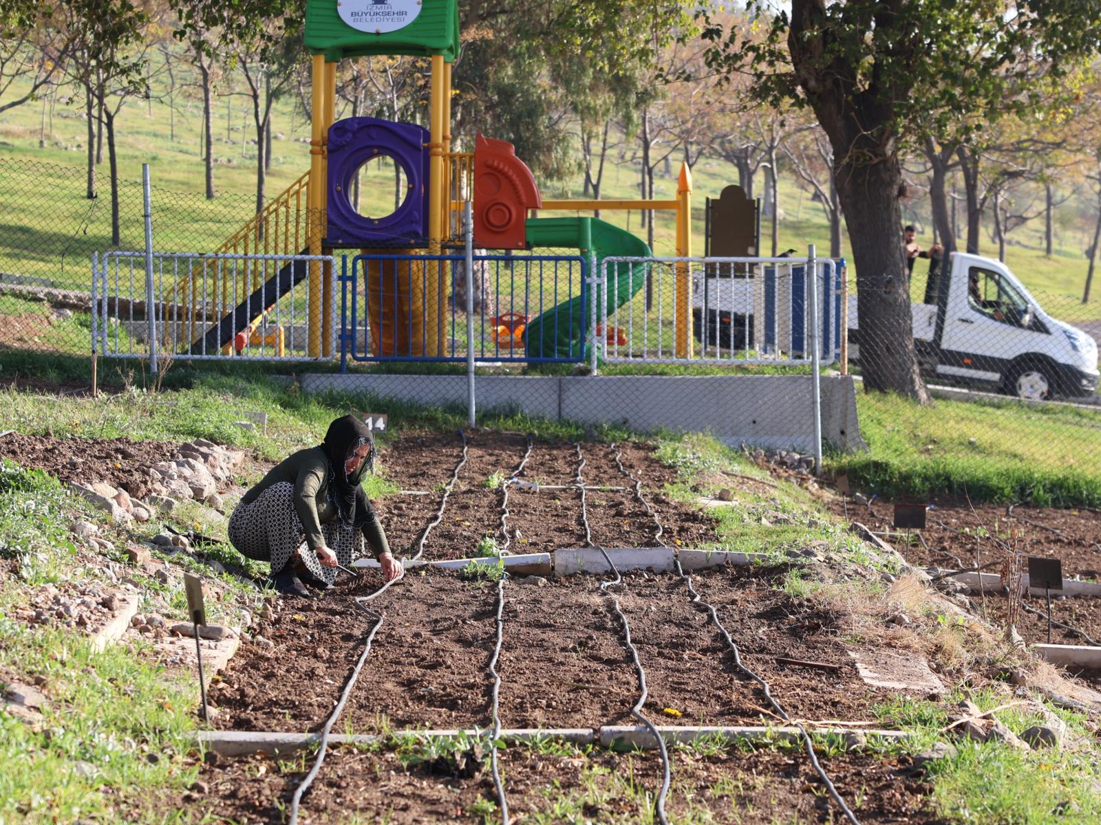 İzmir’in Mahalle Bostanlarında Kış Dikimleri Heyecanı Başladı (10)