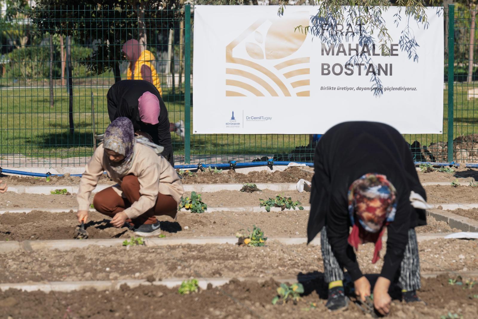 İzmir’in Mahalle Bostanlarında Kış Dikimleri Heyecanı Başladı (11)