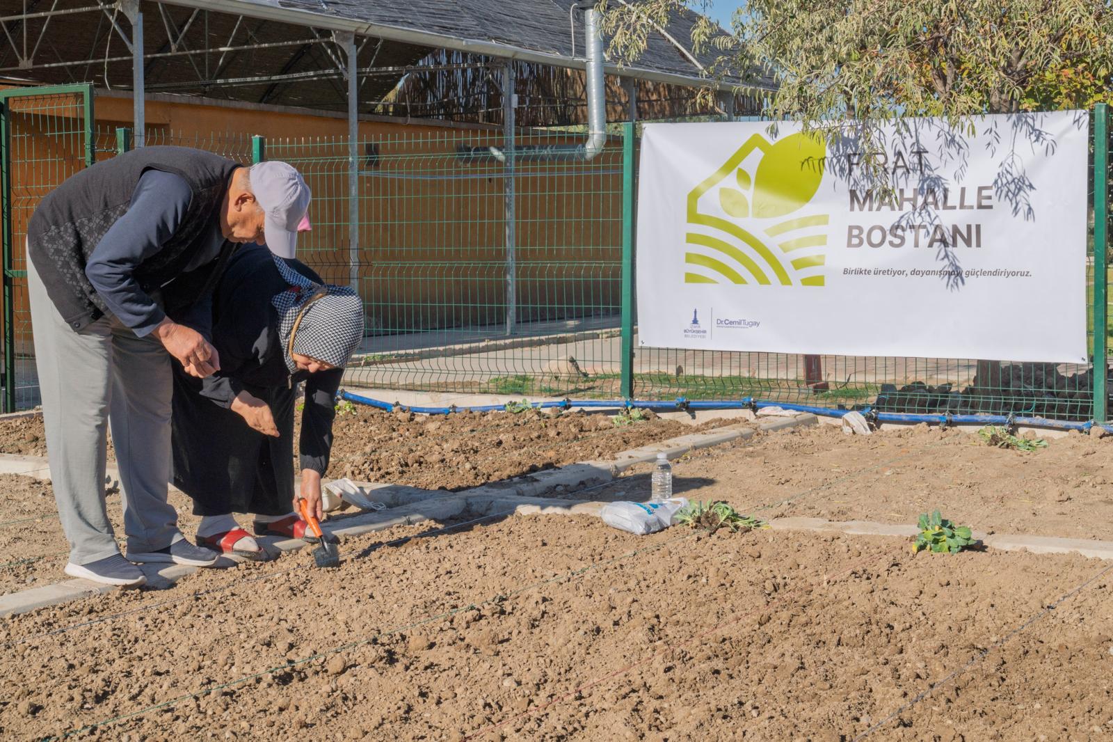 İzmir’in Mahalle Bostanlarında Kış Dikimleri Heyecanı Başladı (9)