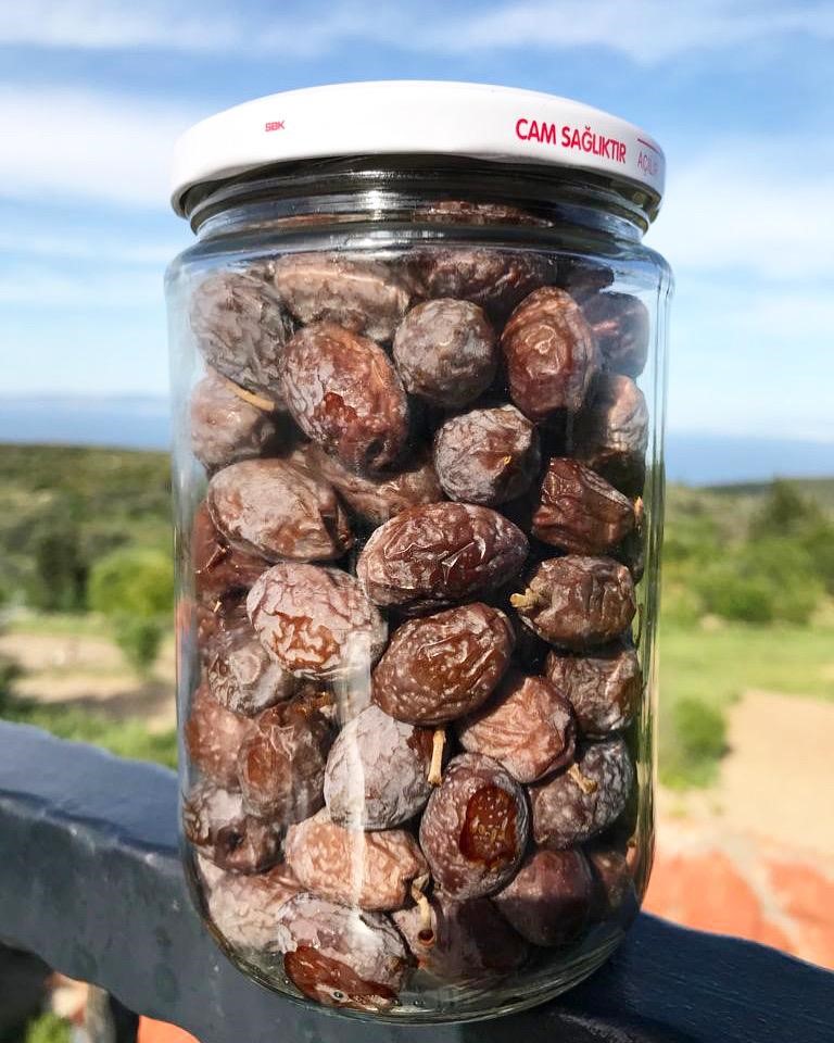 Karaburun’da Kendiliğinden Olgunlaşan Furma Zeytini Hasadı Başladı (2)