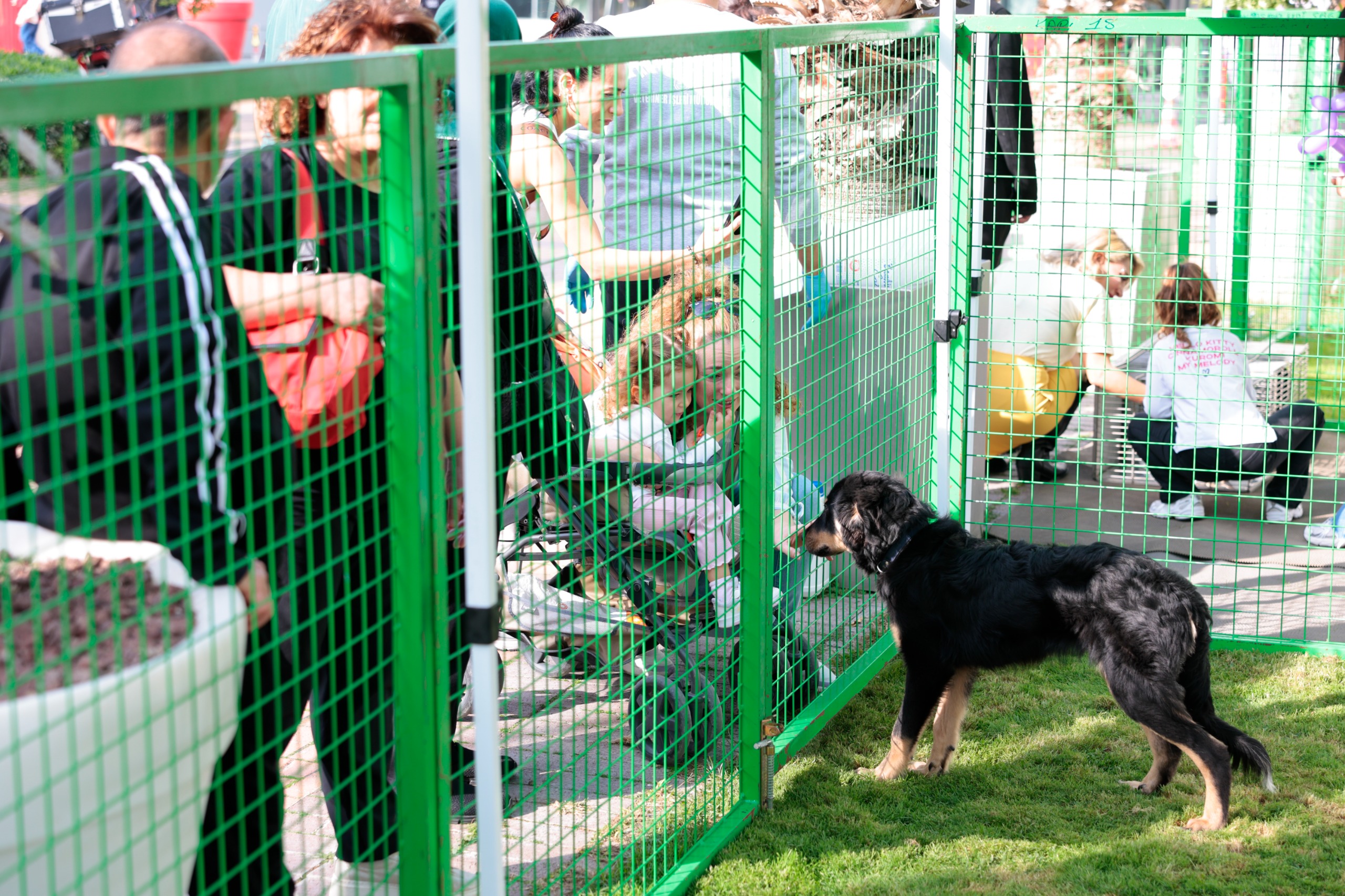 Konak’ta Kalpler Patili Dostlar Için Attı (3)