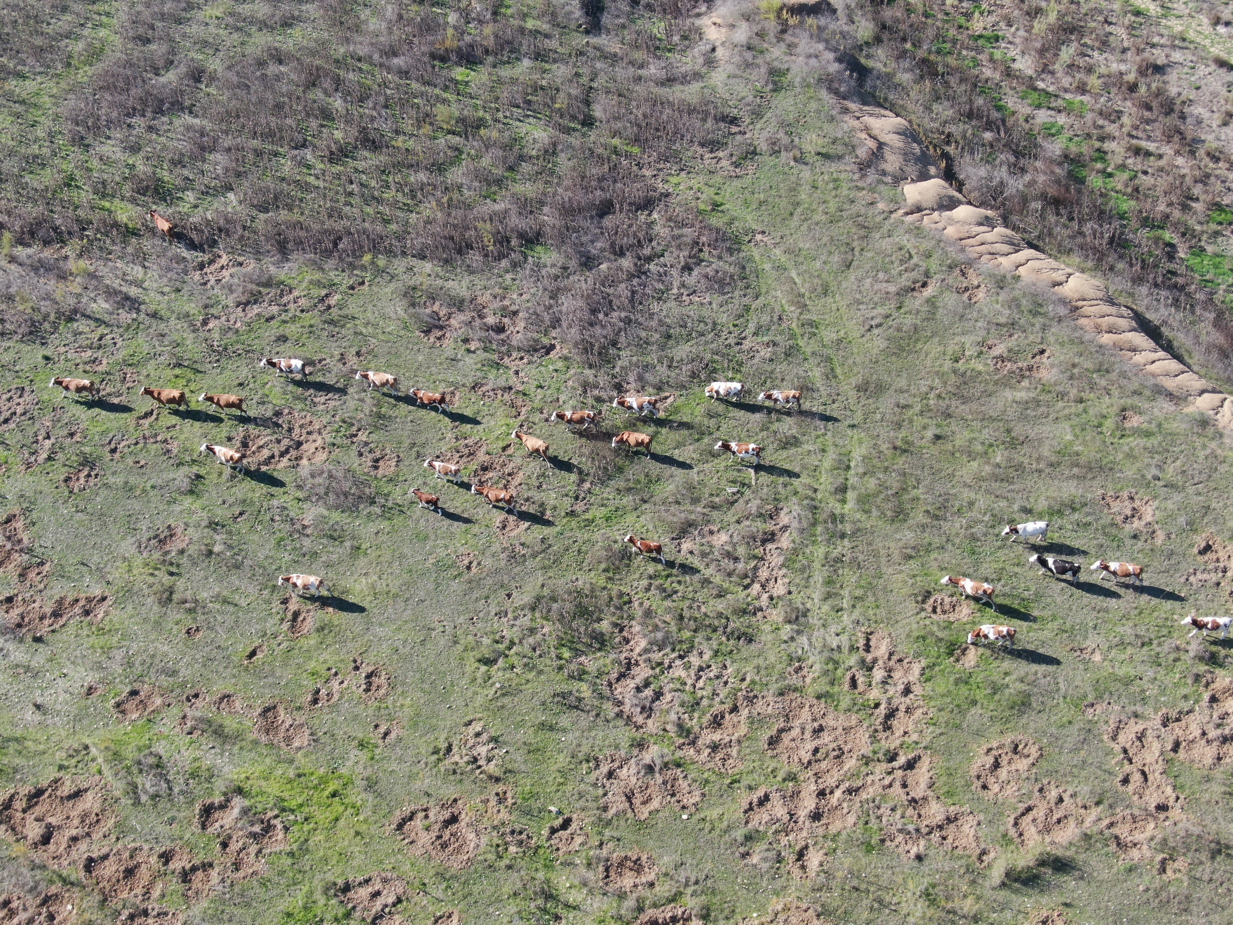 Kritik Uyarı Tahtalı Barajı Tarihinin Dip Seviyesinde! (2)