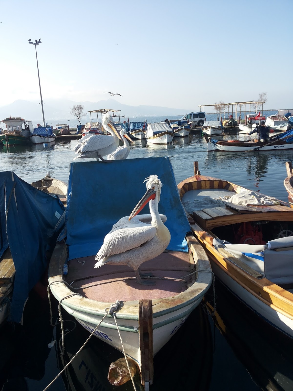 Mavişehir Balıkçı Barınağı 2