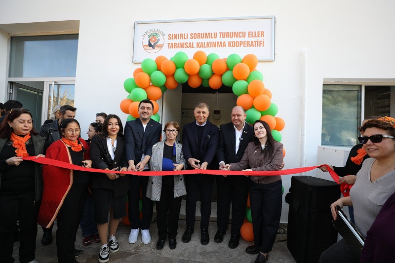 Menderes Mandalina Festivali 3 Gün Boyunca Coşkuyla Devam Etti (3)