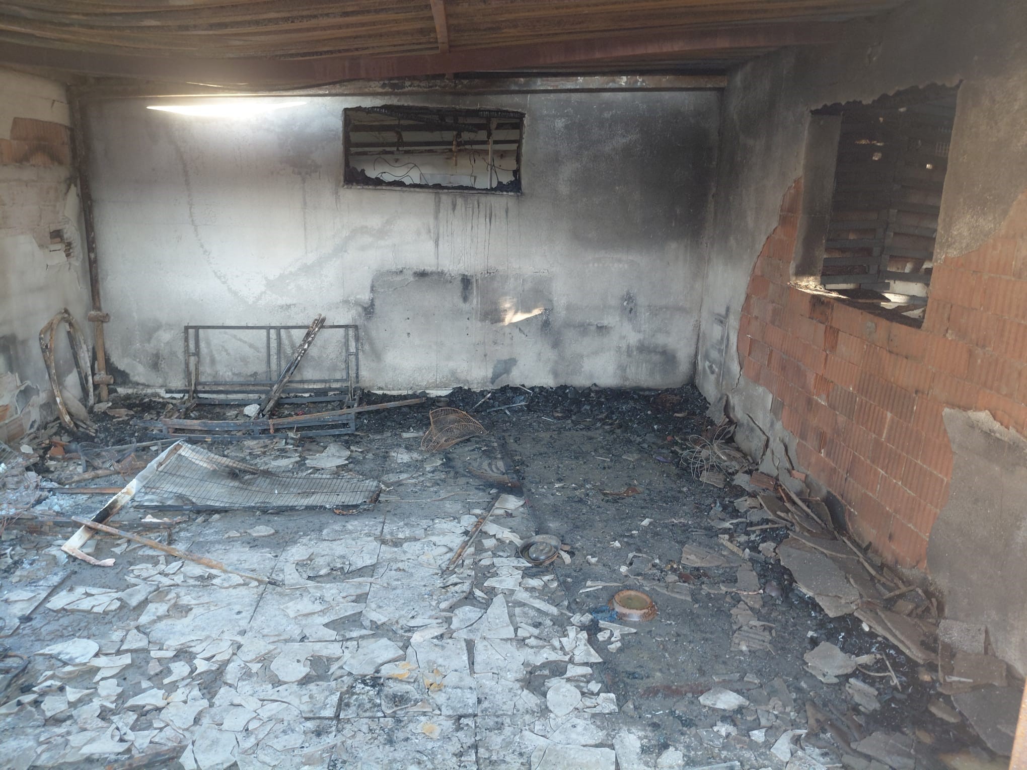 Menemen’de Korkunç Gece! Hayvansever Kadın 20 Kedisiyle Alevlerde Can Verdi (1)