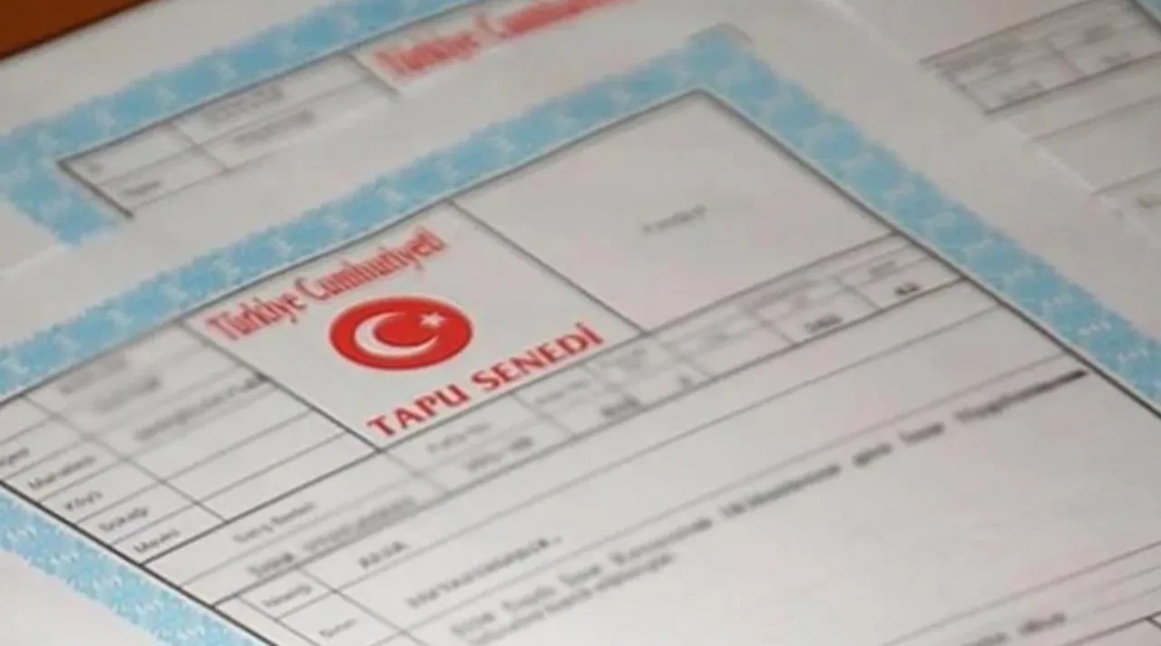 Oluler Cetesi Cokertildi 100 Mil