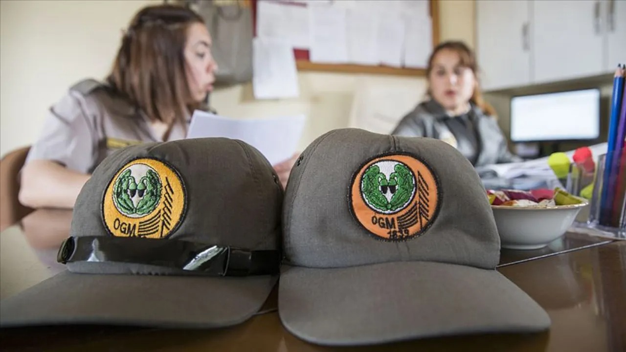 Orman Genel Mudurlugune 496 Pers-1