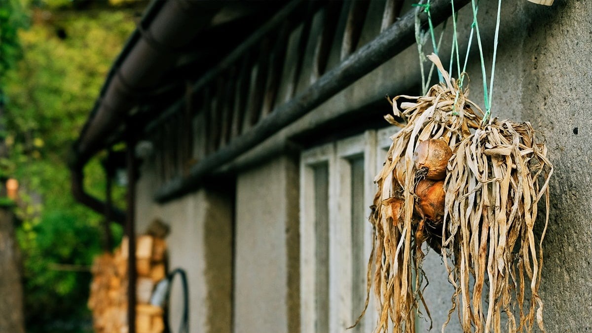 Sogan1Jpg F8 Gg Q D W Hok G Cx8 Wk Aumv8 Q