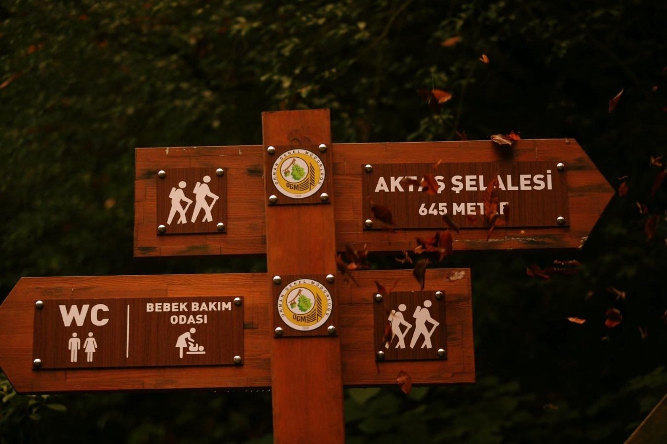 Sonbaharın En Fotojenik Noktası Aktaş Şelalesi (2)