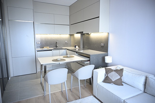 Toki Örnek Daire (4)