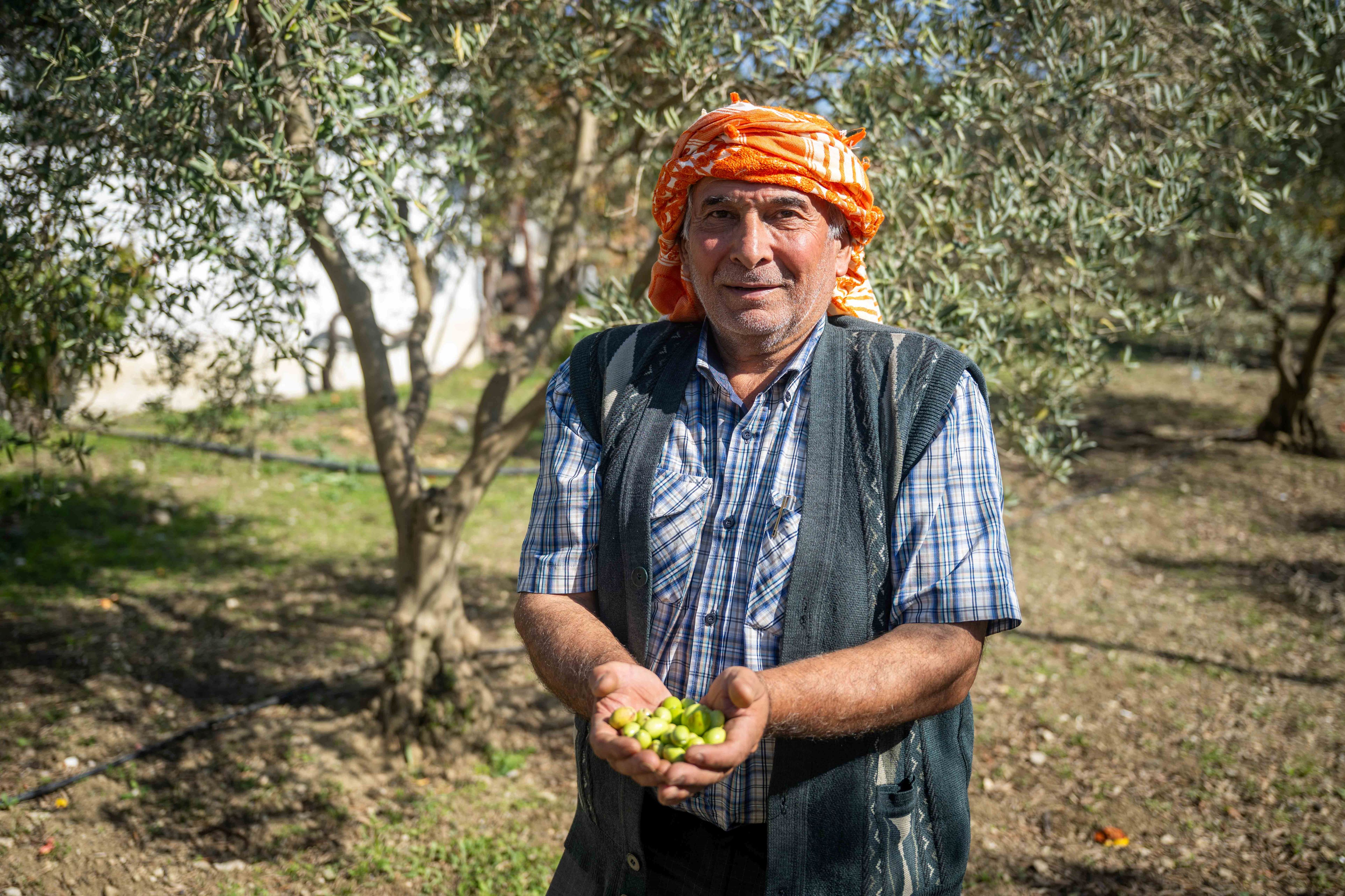 Üreticiyi Rahatlatan Zeytin Desteği (4)