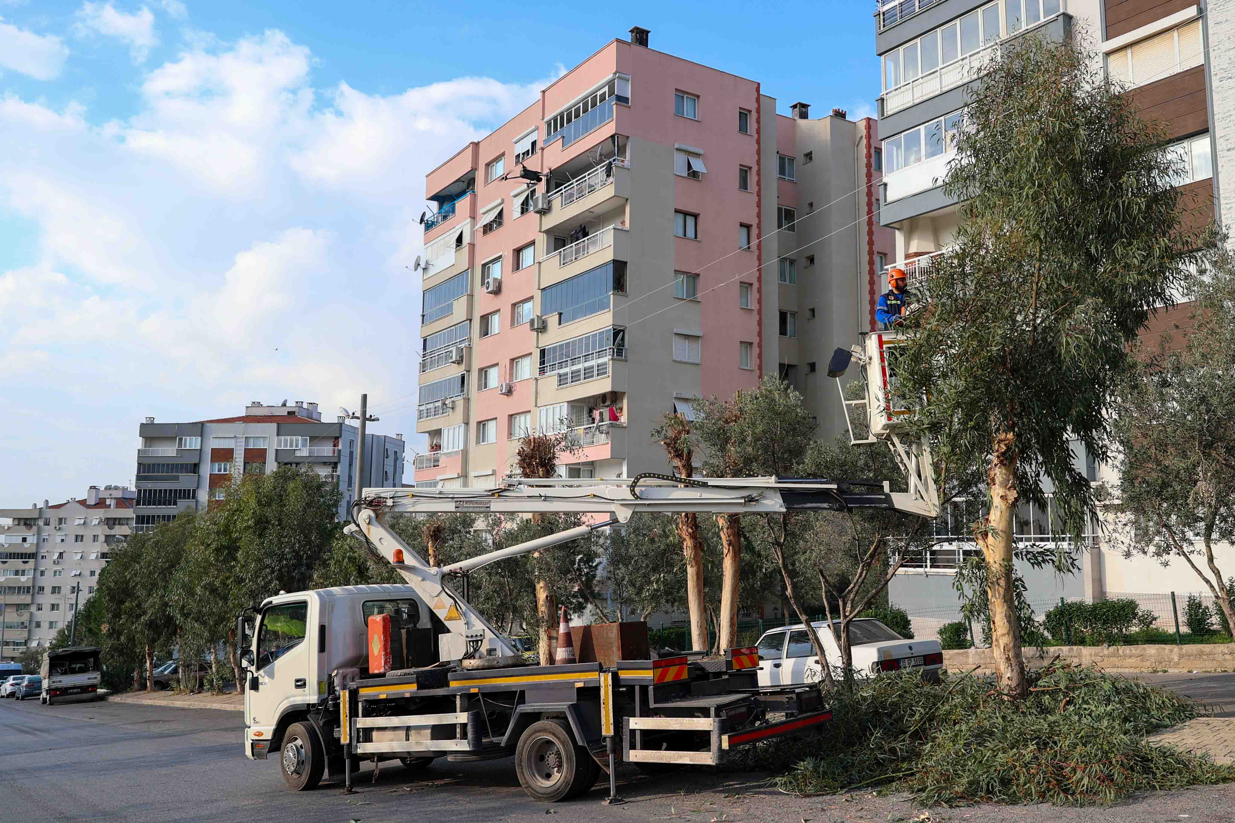 Yeşil Buca Için Çalışmalar Sürüyor Ağaçlar Tek Tek Kontrol Ediliyor (1)