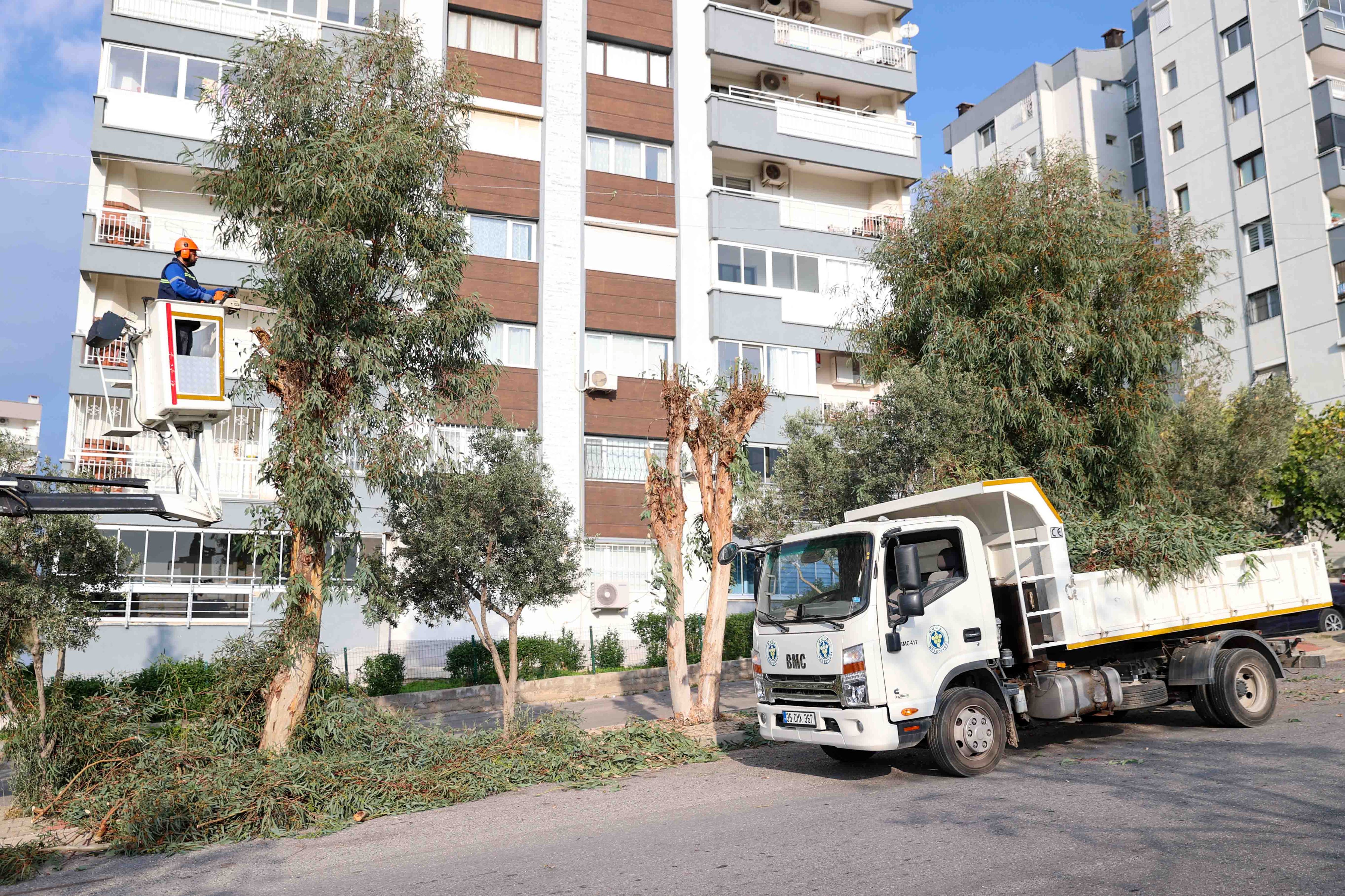 Yeşil Buca Için Çalışmalar Sürüyor Ağaçlar Tek Tek Kontrol Ediliyor (3)
