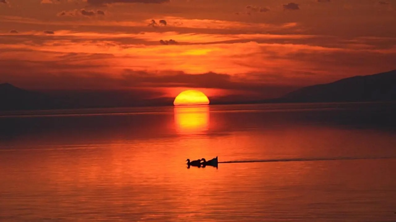 299 Gunler Uzuyor Mu 2025 Yilind