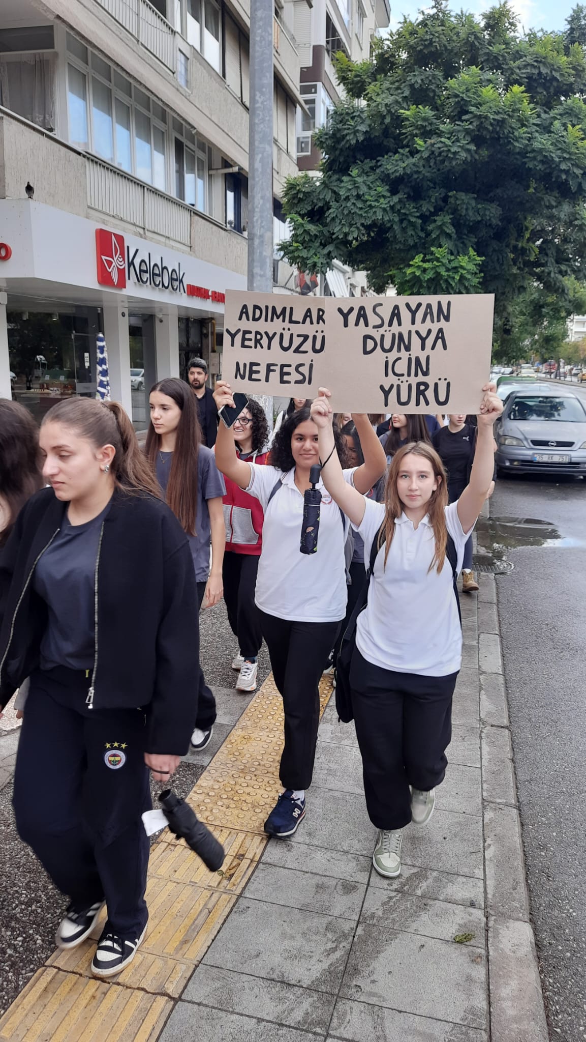 77A1F285 1409 4D3C 89Fa F61D3D1736C7