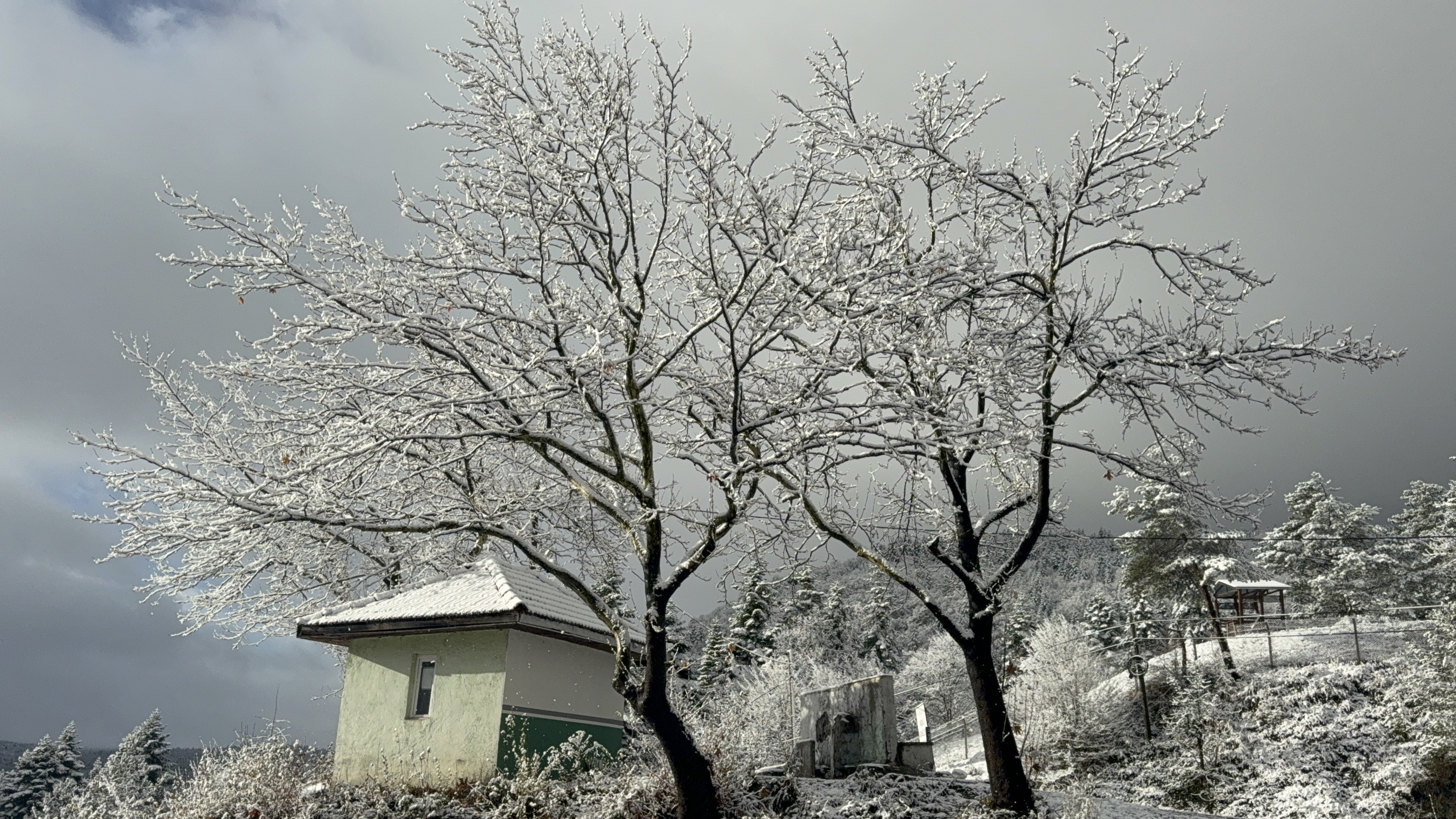 Adeta Masal Diyarı! Kartpostallık Kar Manzaraları Büyüledi (6)
