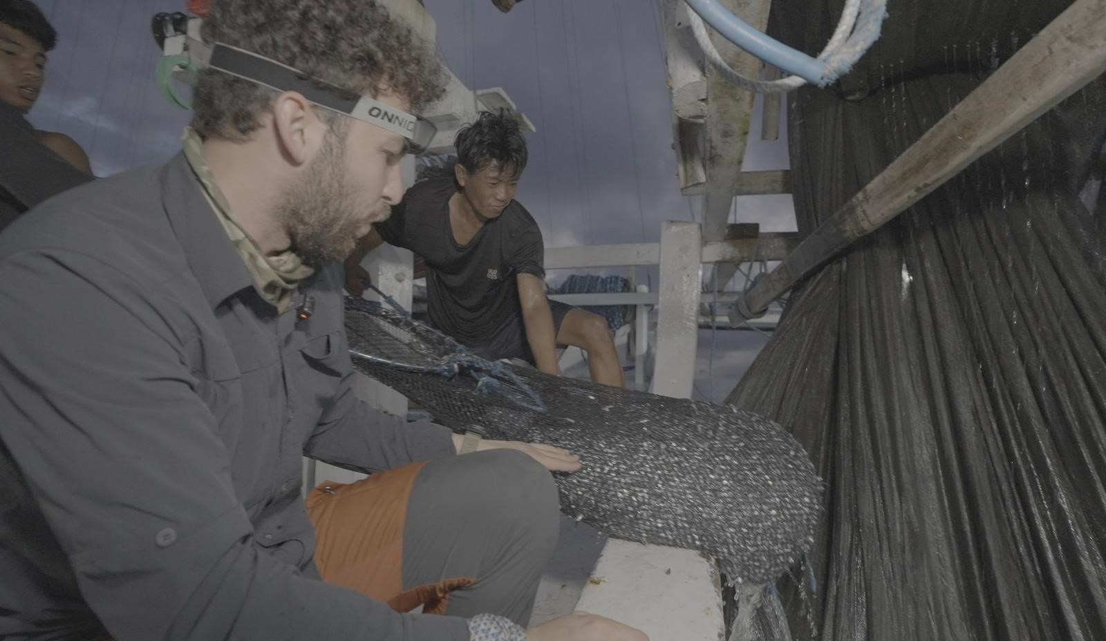 Ağlara Takıldı, Ölüme Doğru Sürükleniyordu (2)