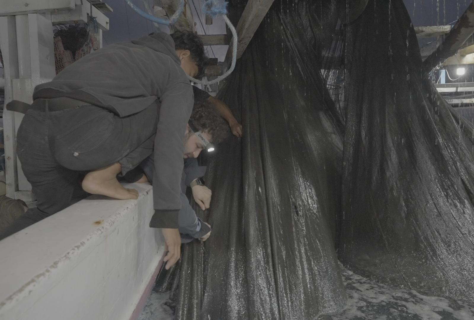 Ağlara Takıldı, Ölüme Doğru Sürükleniyordu (3)