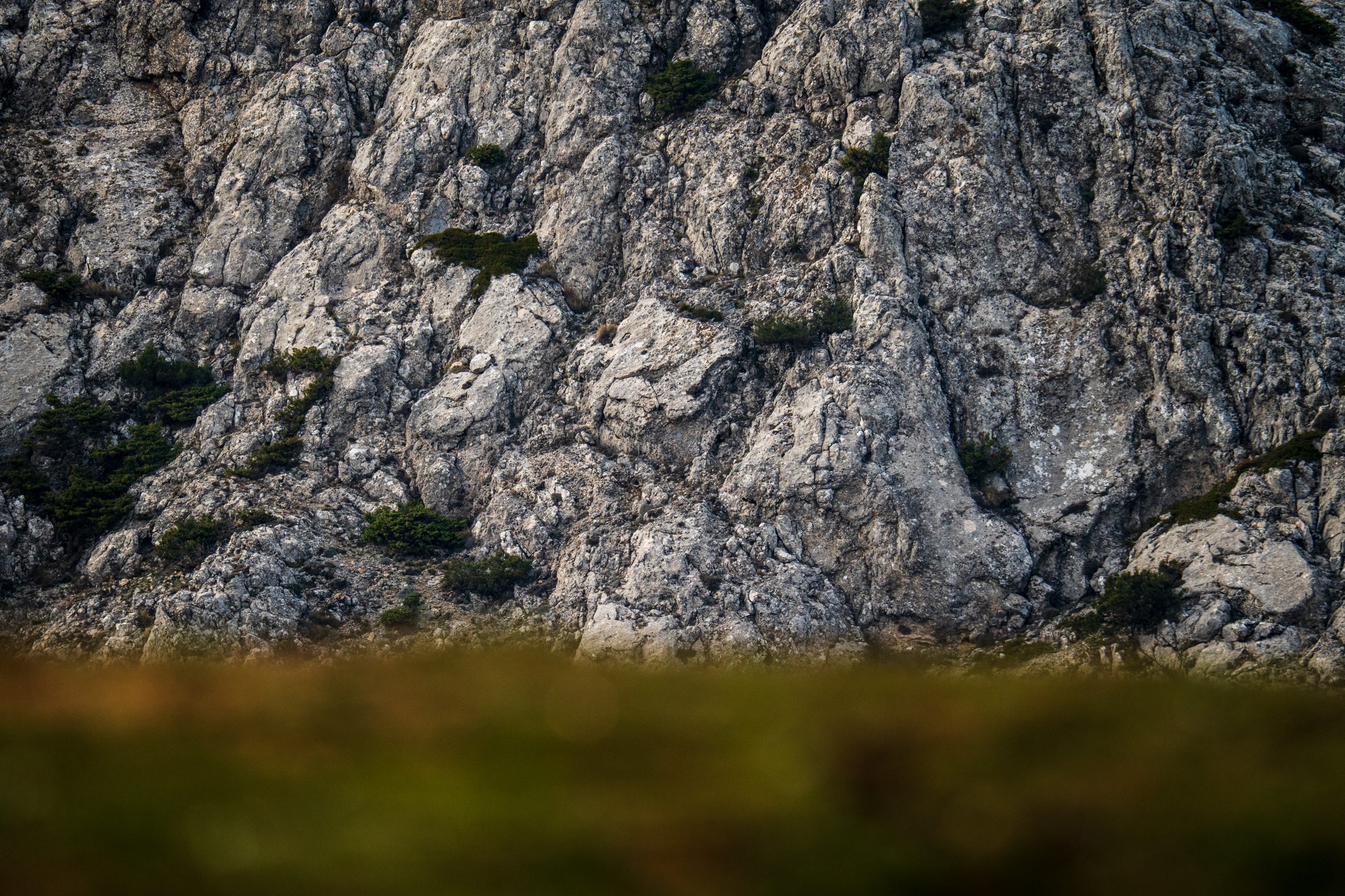 Aralık Ayı Bitti, Spil Dağı’nda Kış Gelmedi! Kar Bekleniyor (3)