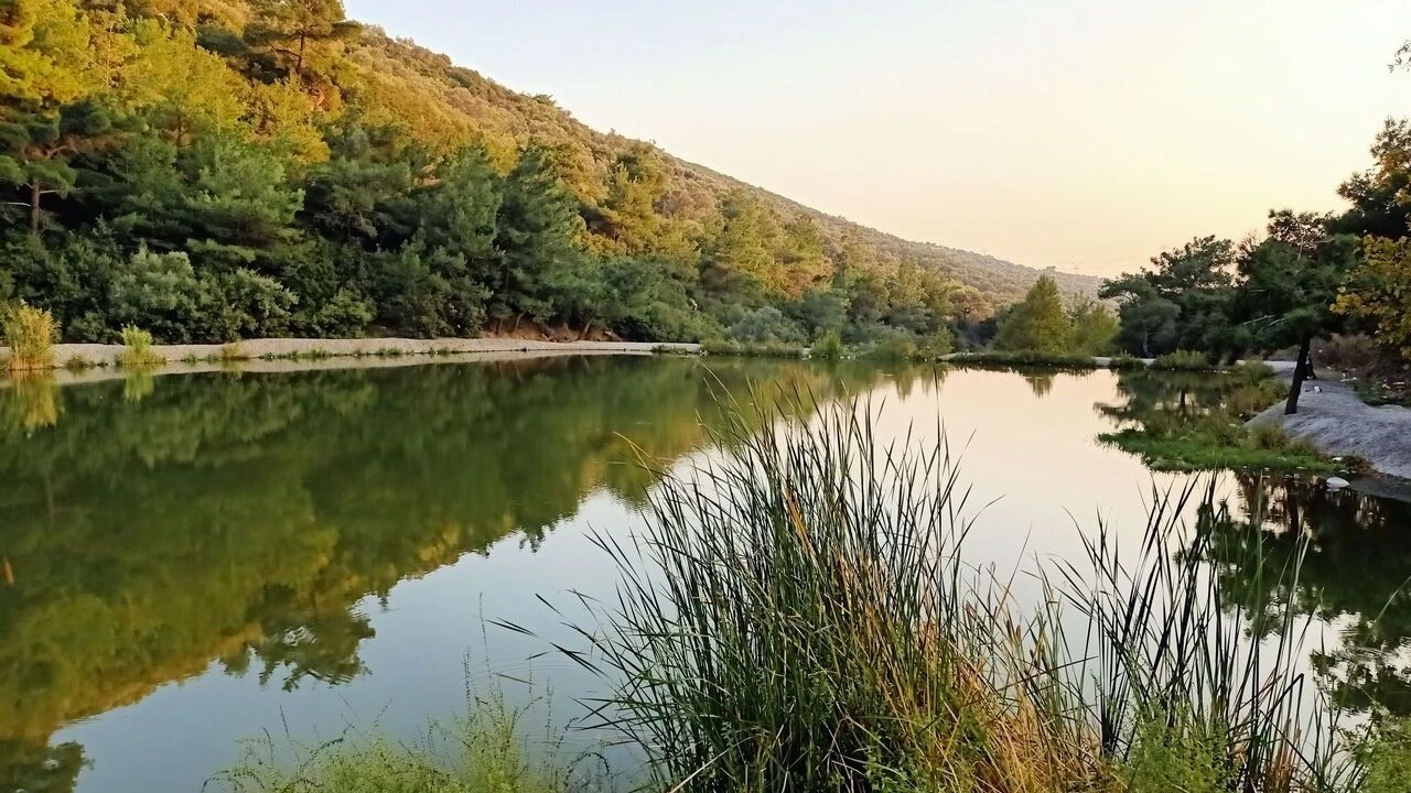 Bornova – Homeros Vadisi