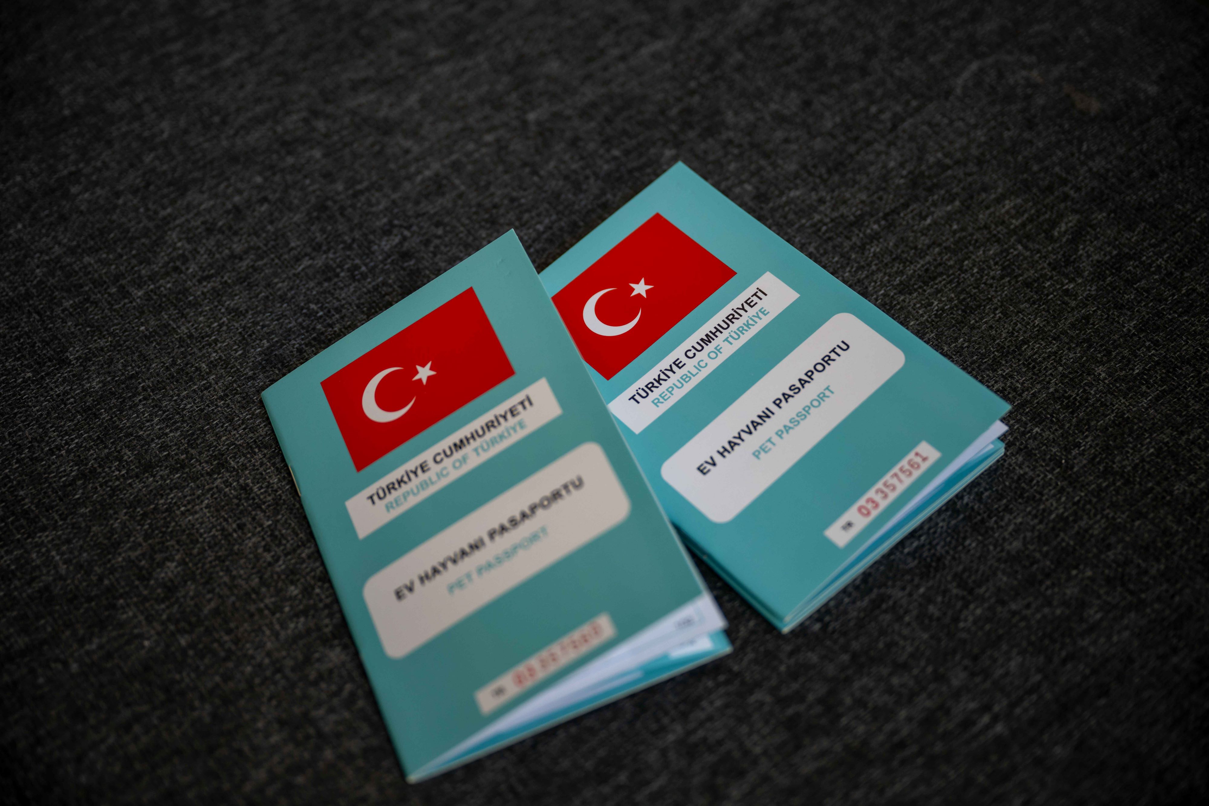 Bornova Kırsalında Anlamlı Seferberlik (4)