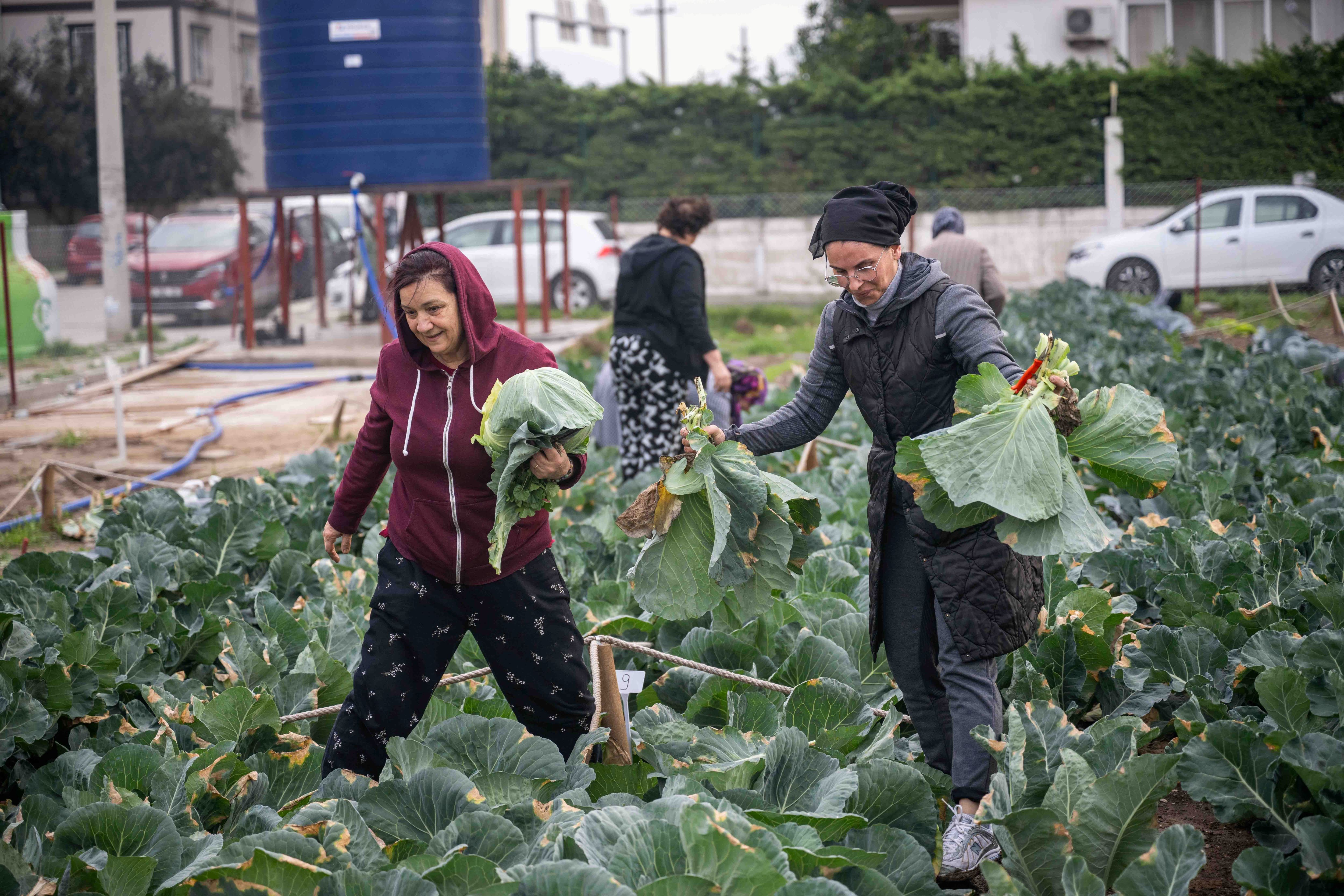 Bornova'nın Kadınları Kent Bostanlarında Üretti Doğal Sebzeler Hasat Edildi (2)