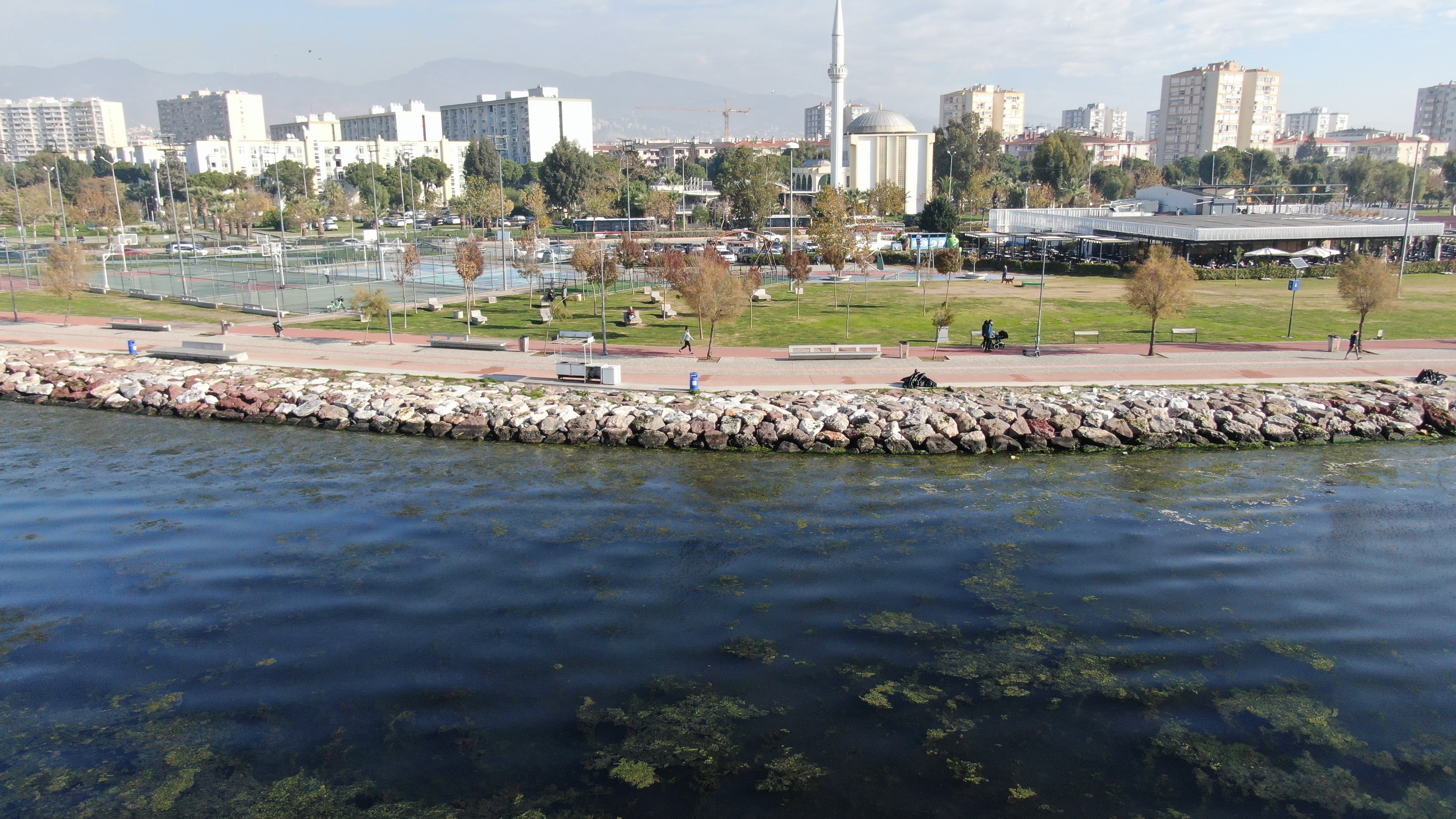 Bostanlı Sahilinde Şok Görüntü 'Yeşil İstila' (3)