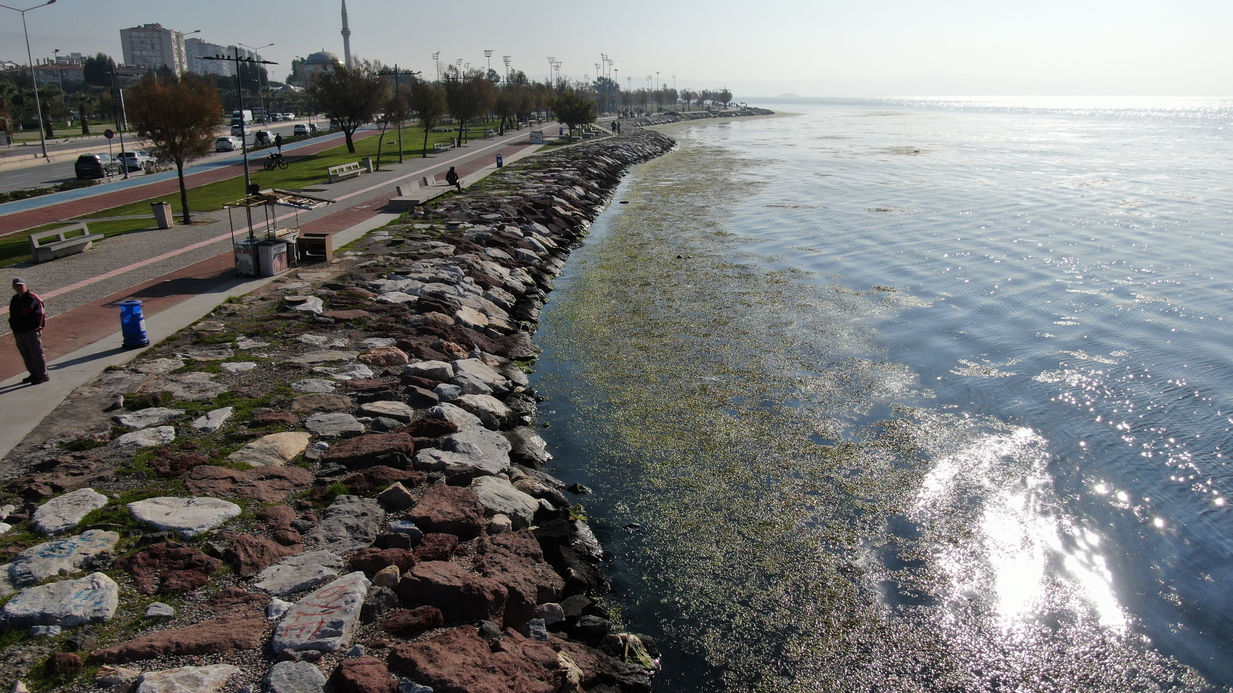 Bostanlı Sahilinde Şok Görüntü 'Yeşil İstila' (5)