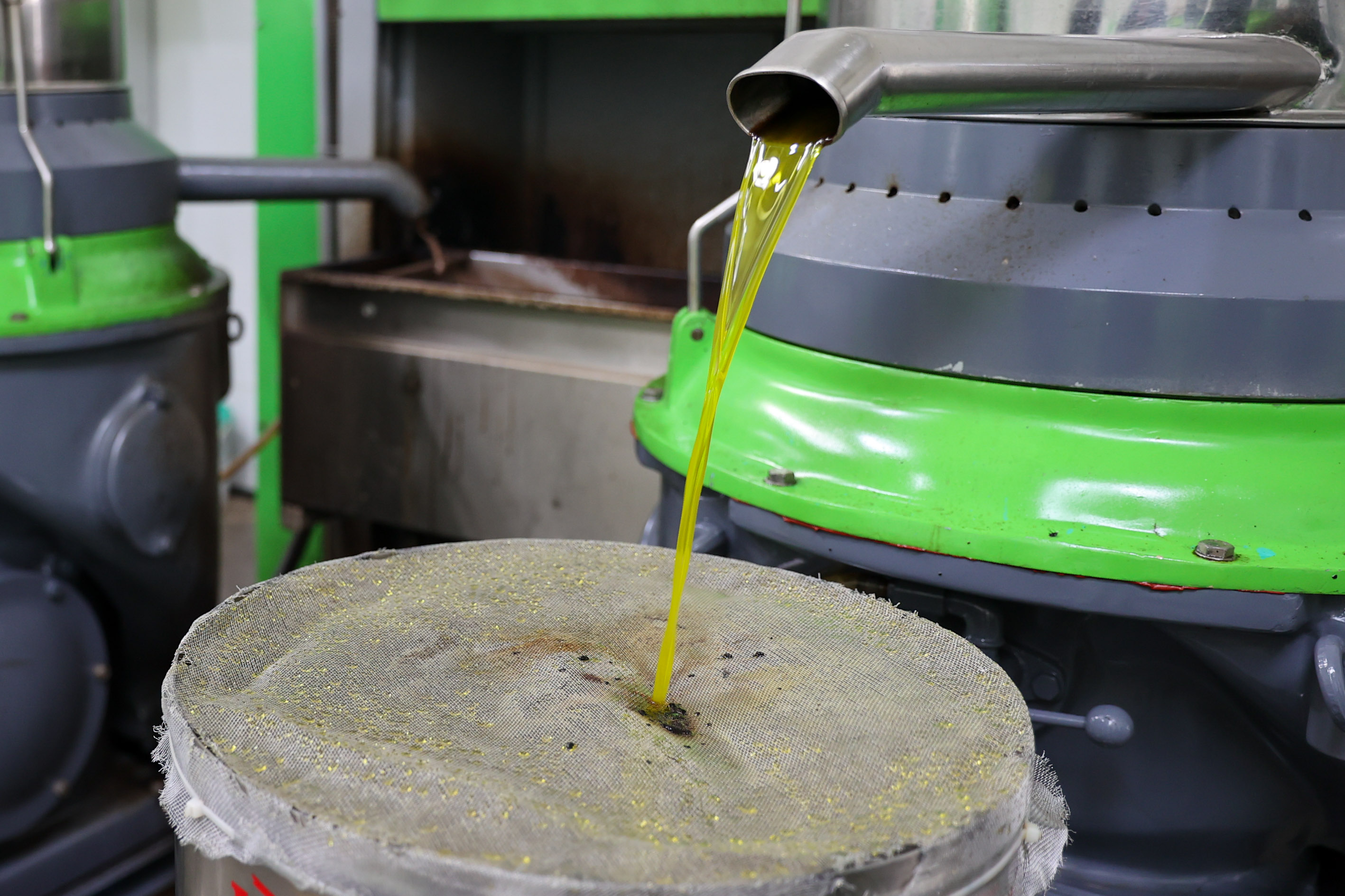 Buca’da Dayanışma Hasadı Başladı (1)