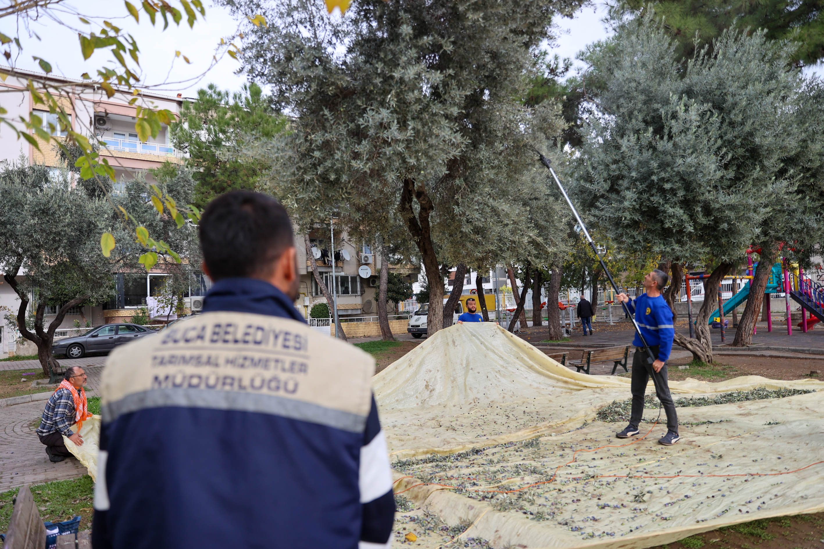 Buca’da Dayanışma Hasadı Başladı (3)