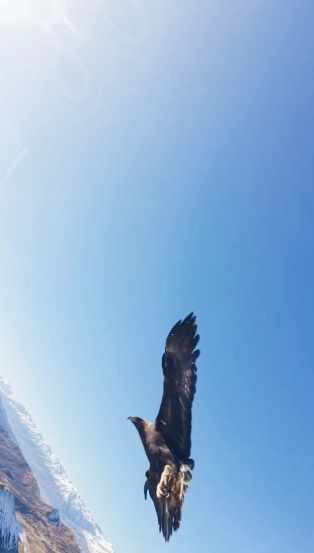 Dağın Zirvesinde Şaşırtan Anlar Kartal Dronu Böyle Kaptı (1)