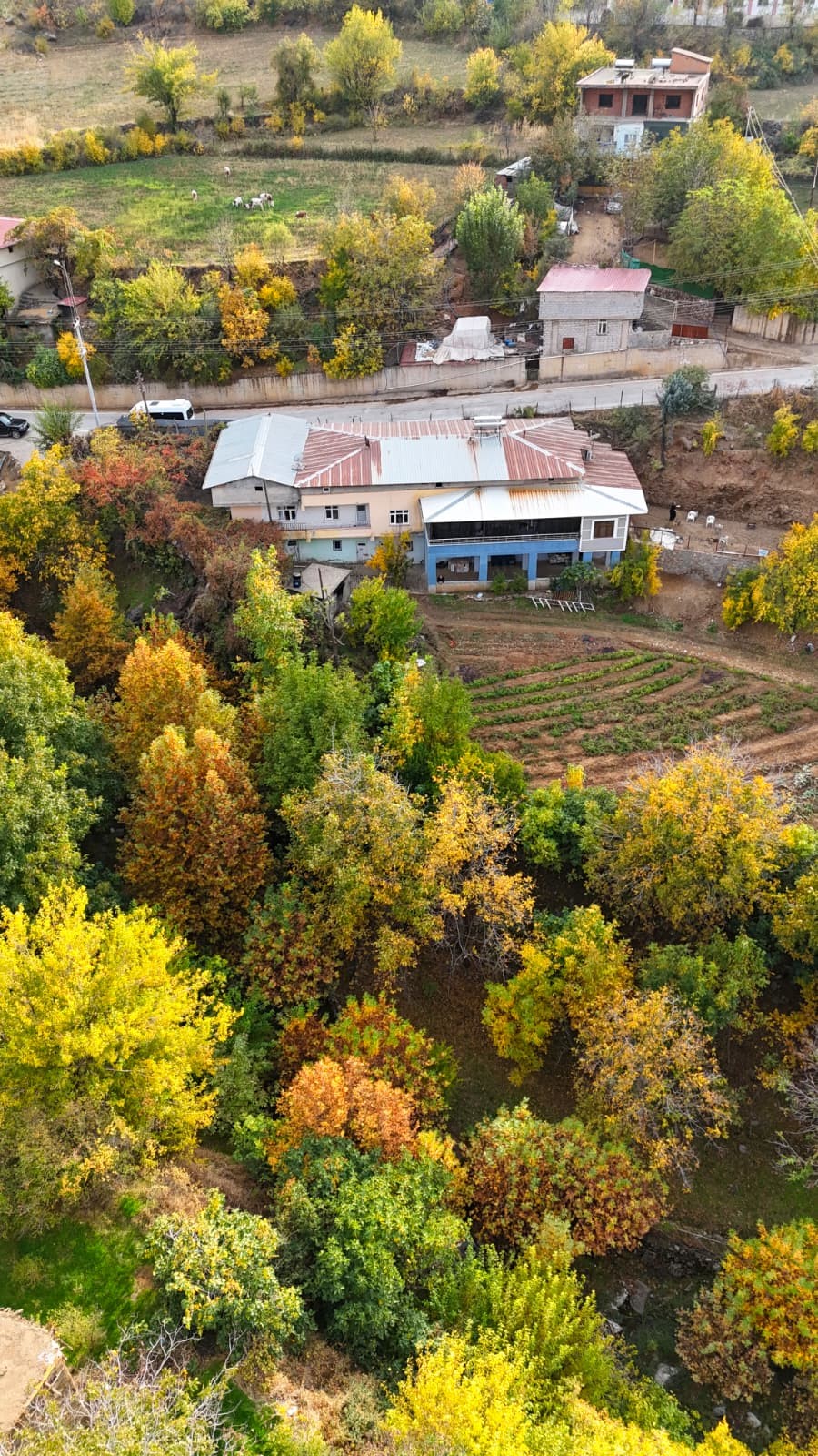 Dağlarda Kartpostallık Sonbahar Hayran Bıraktı (6)