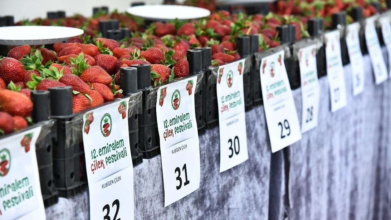 Emiralem Çilek Festivali