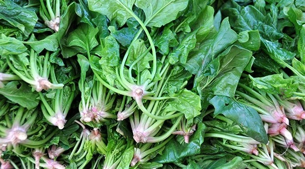 Ispanak Neden Tekrar Isıtılmaz Uzmanlar Ciddi Sağlık Riskine Karşı Uyarıyor (2)