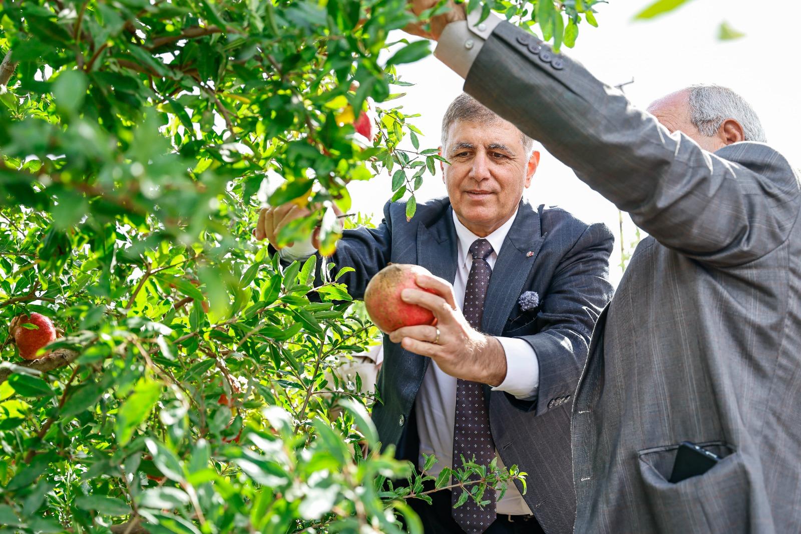 İzmir Büyükşehir’den Çiftçiye 550 Milyon Liralık Destek (7)