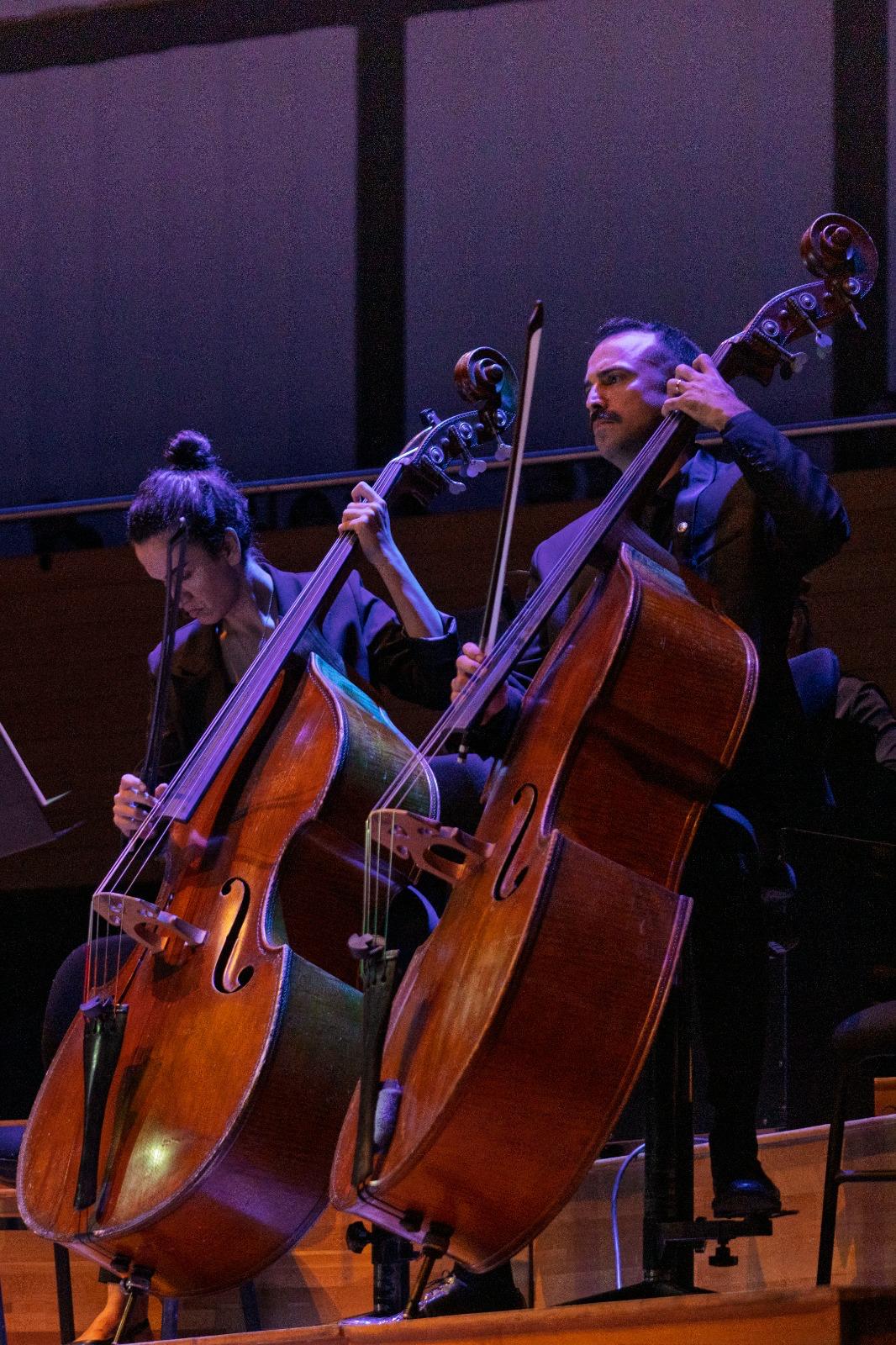İzmir Oda Orkestrası Yılın Son Ayında Aassm’de Müzik Şöleni Sunacak (4)